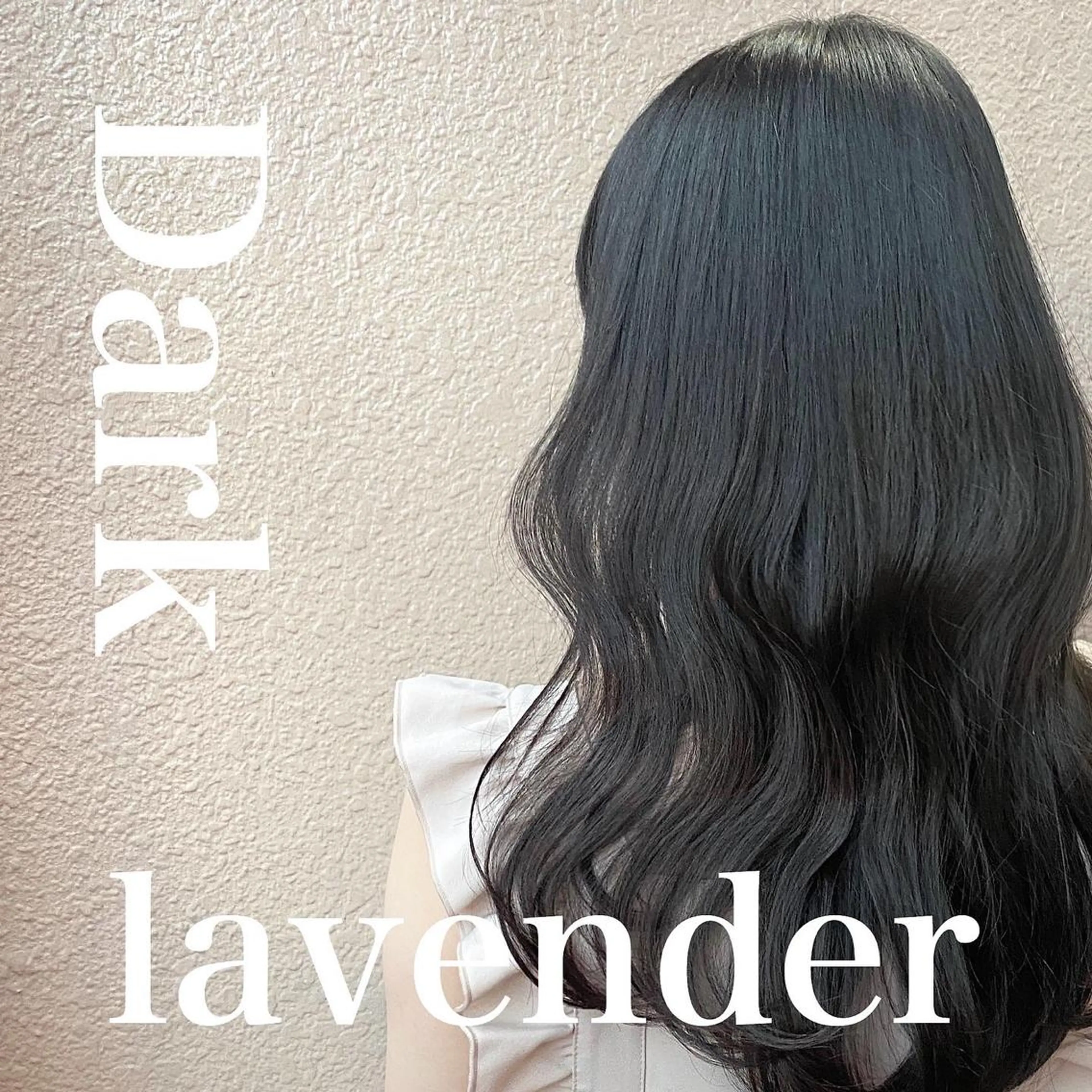 ミディアム カラー ディープラベンダー ラベンダーカラー SALOWIN 新宿三丁目EAST所属・韓国レイヤー🇰🇷 layercut✂️のヘアスタイル