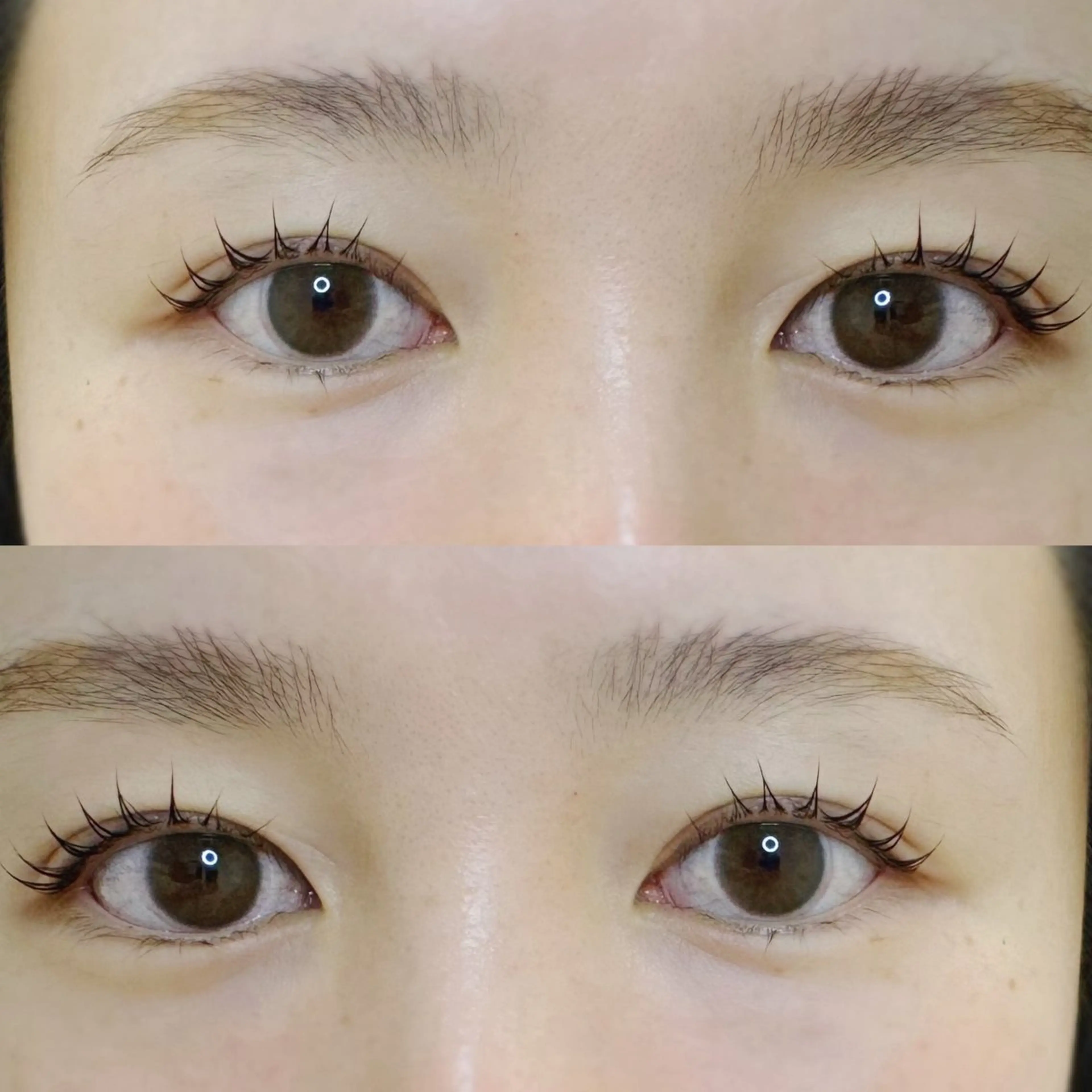 マツエク・マツパ パリジェンヌラッシュリフト 🌸Alba🌸 勅使川原のマツエク・マツパデザイン