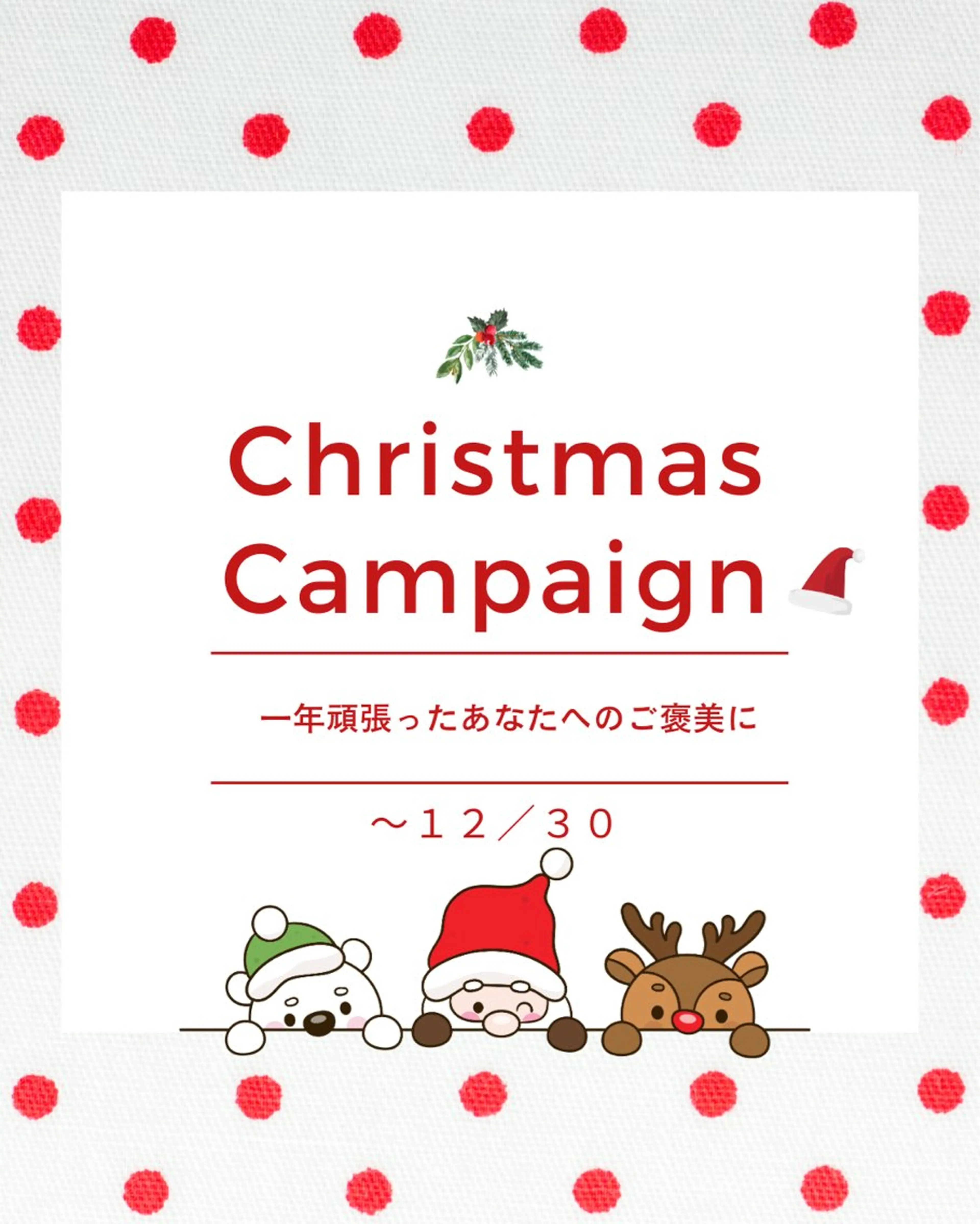 ⛄12月限定⛄Doll Lift Curl ＋ホームケアセット【ラッシュアディクト・コーティング剤】🌟の写真