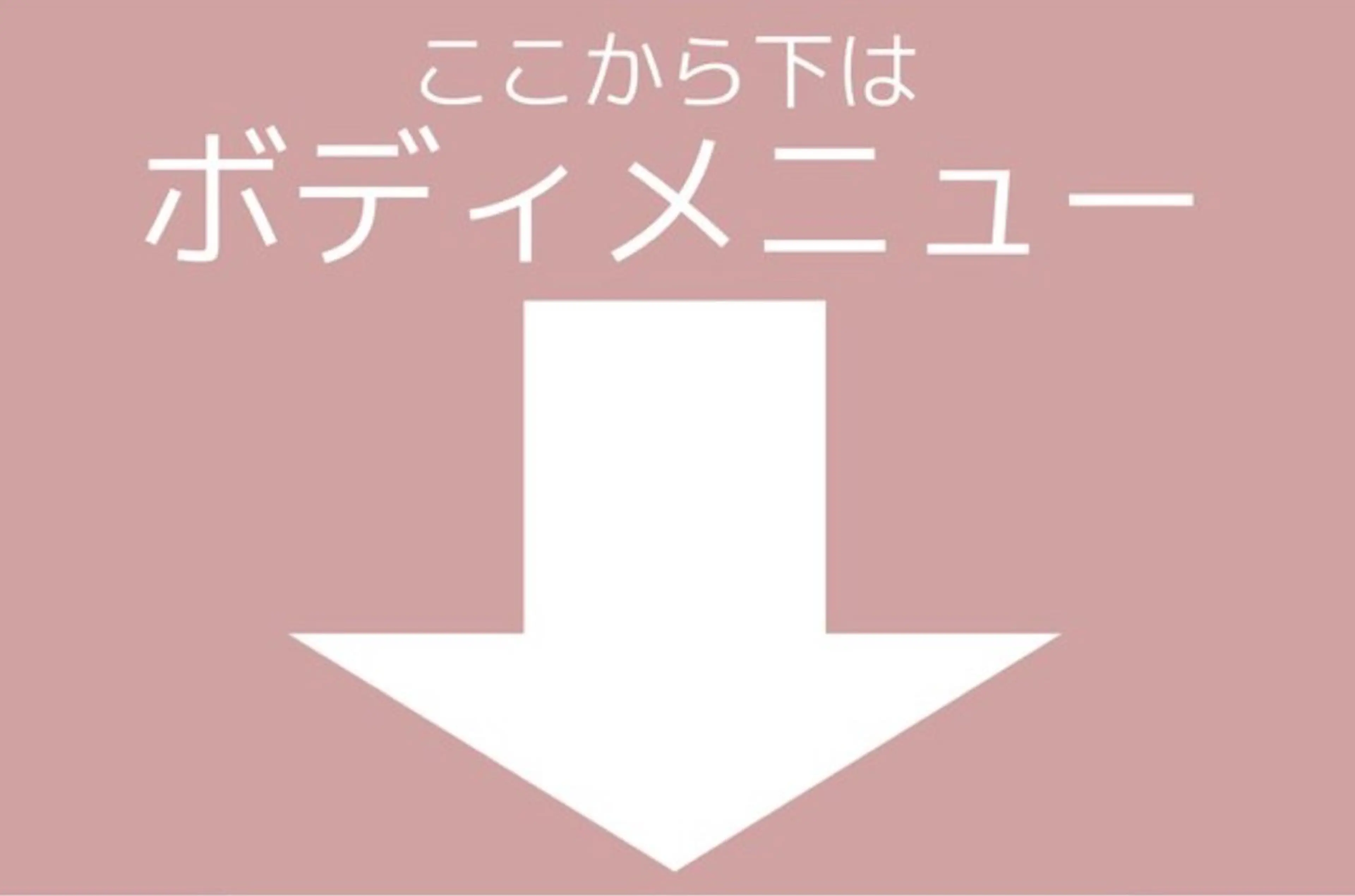 こちらから下はボディのメニューとなります。の写真