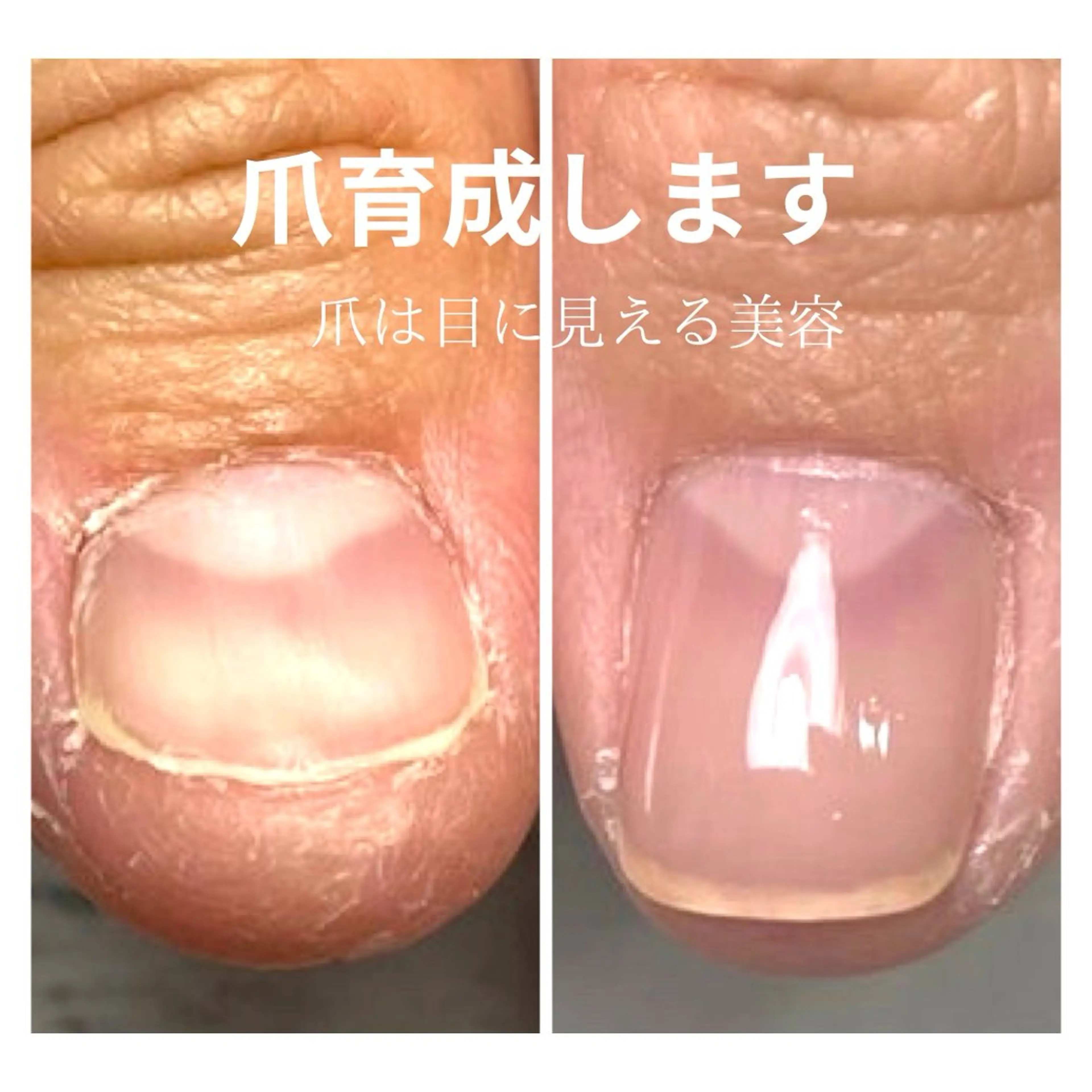 ネイル Elle& staffのネイルデザイン