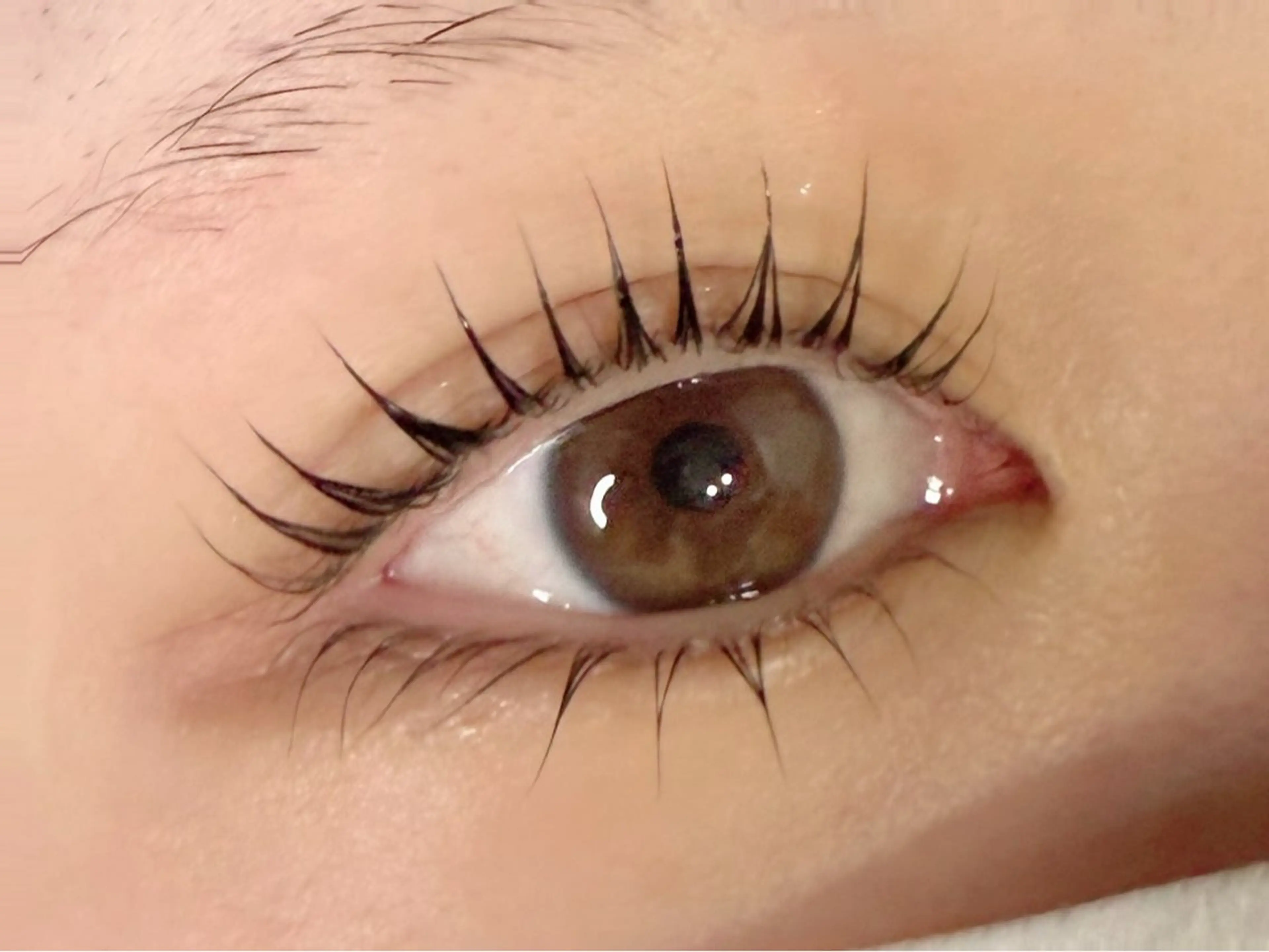 マツエク・マツパ パリジェンヌラッシュリフト Eyelash  Salon FAXIA大宮店所属・FAXIA Mihoの眉毛・アイブロウイメージ