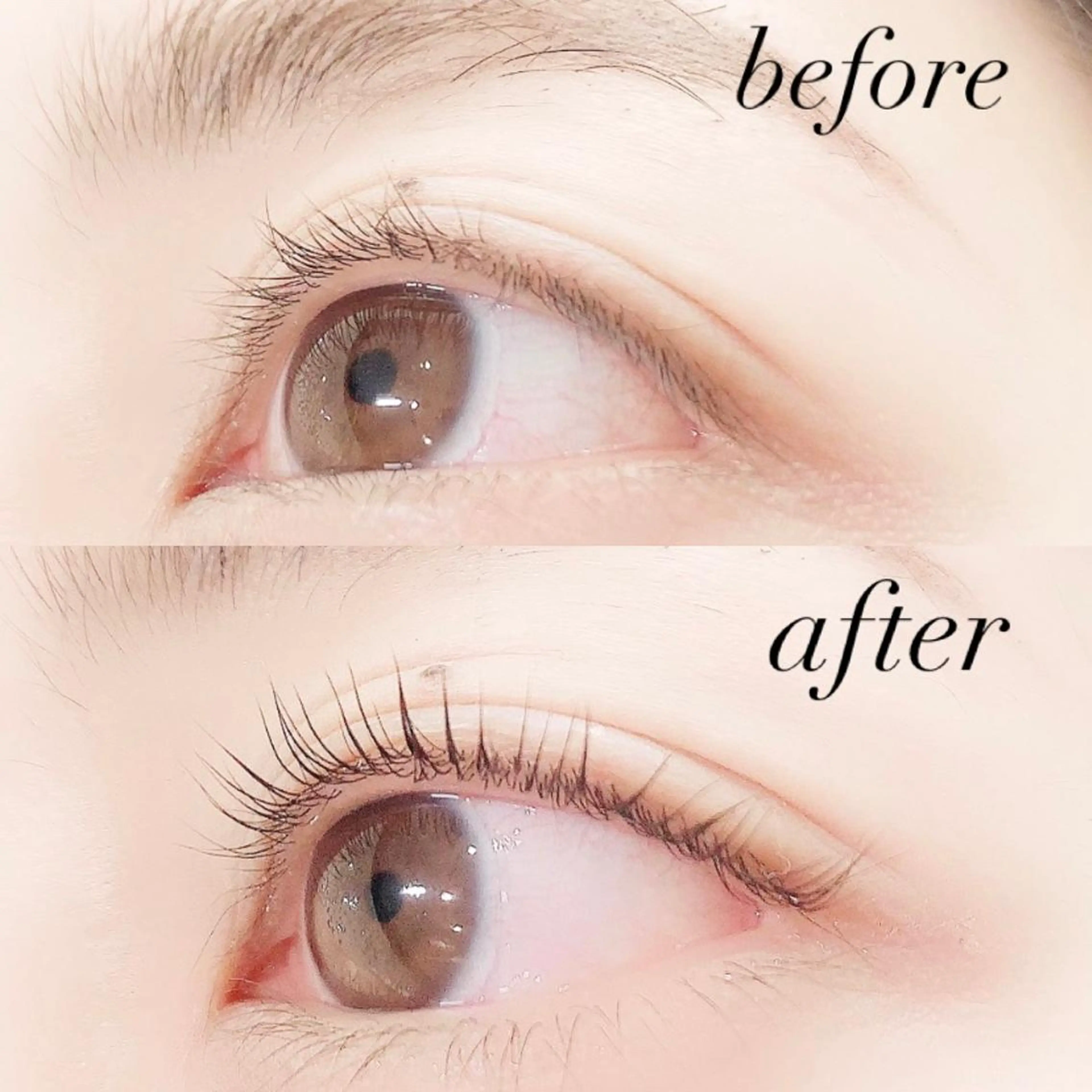 マツエク・マツパ 一重×まつ毛パーマ Lanhr所属・【Lanhr】 🕊aya🕊のマツエク・マツパデザイン