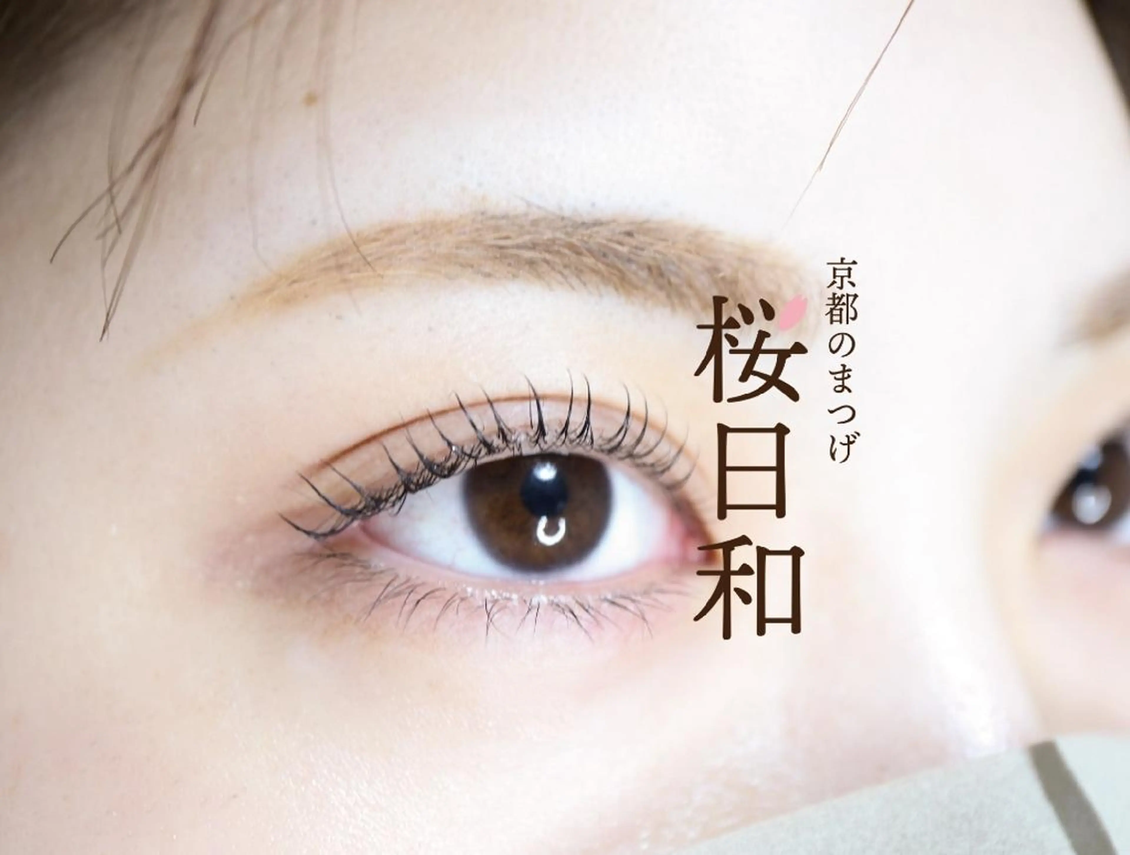 マツエク・マツパ Cカール フラットラッシュ パリジェンヌラッシュリフト まつげパーマ 一重×まつ毛パーマ 京都のまつげ桜日和 小島美桜のマツエク・マツパデザイン