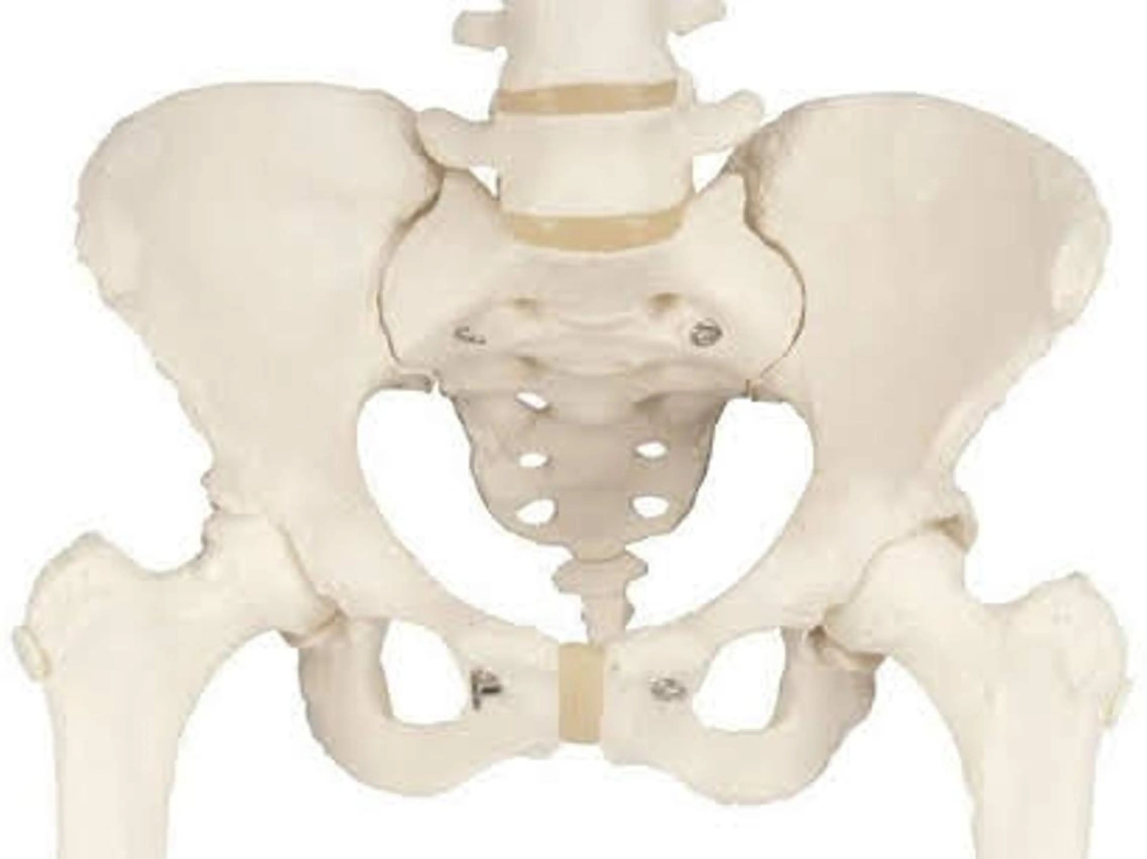 新規　骨盤矯正【3か所セット】骨盤・猫背・O脚など　50分8800円→7700円の写真