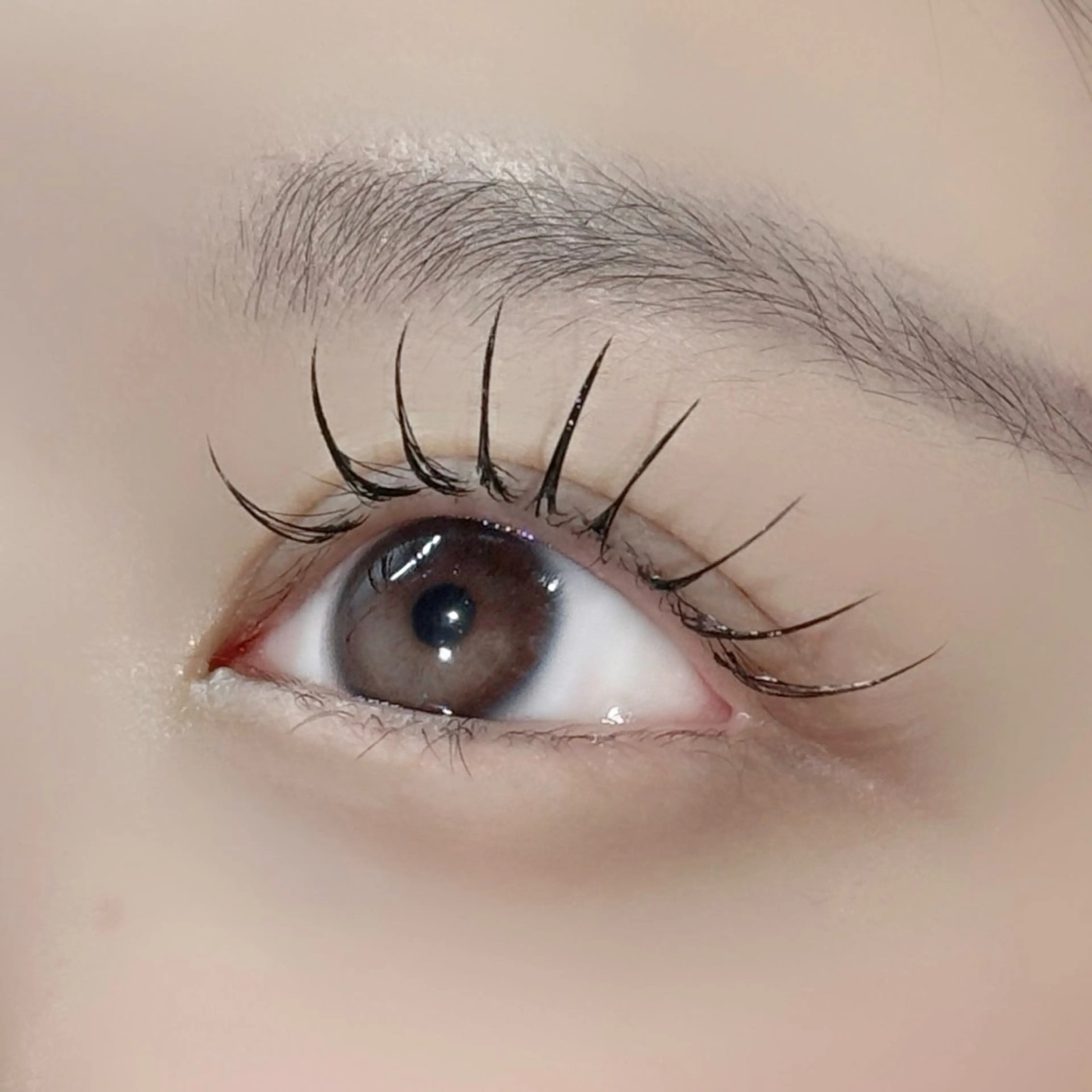 マツエク・マツパ ソノミー所属・chihiro 🌂のマツエク・マツパデザイン