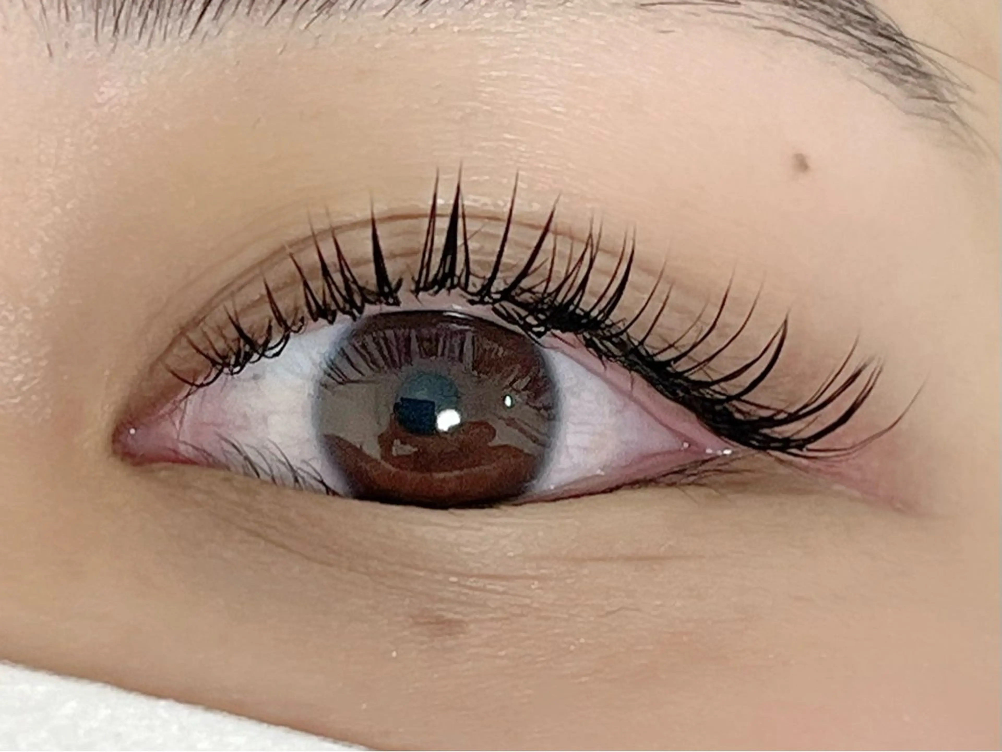 マツエク・マツパ Eye'llbe lash《ｱｲﾋﾞｰﾗｯｼｭ》所属・Eye'llbe lashのその他イメージ