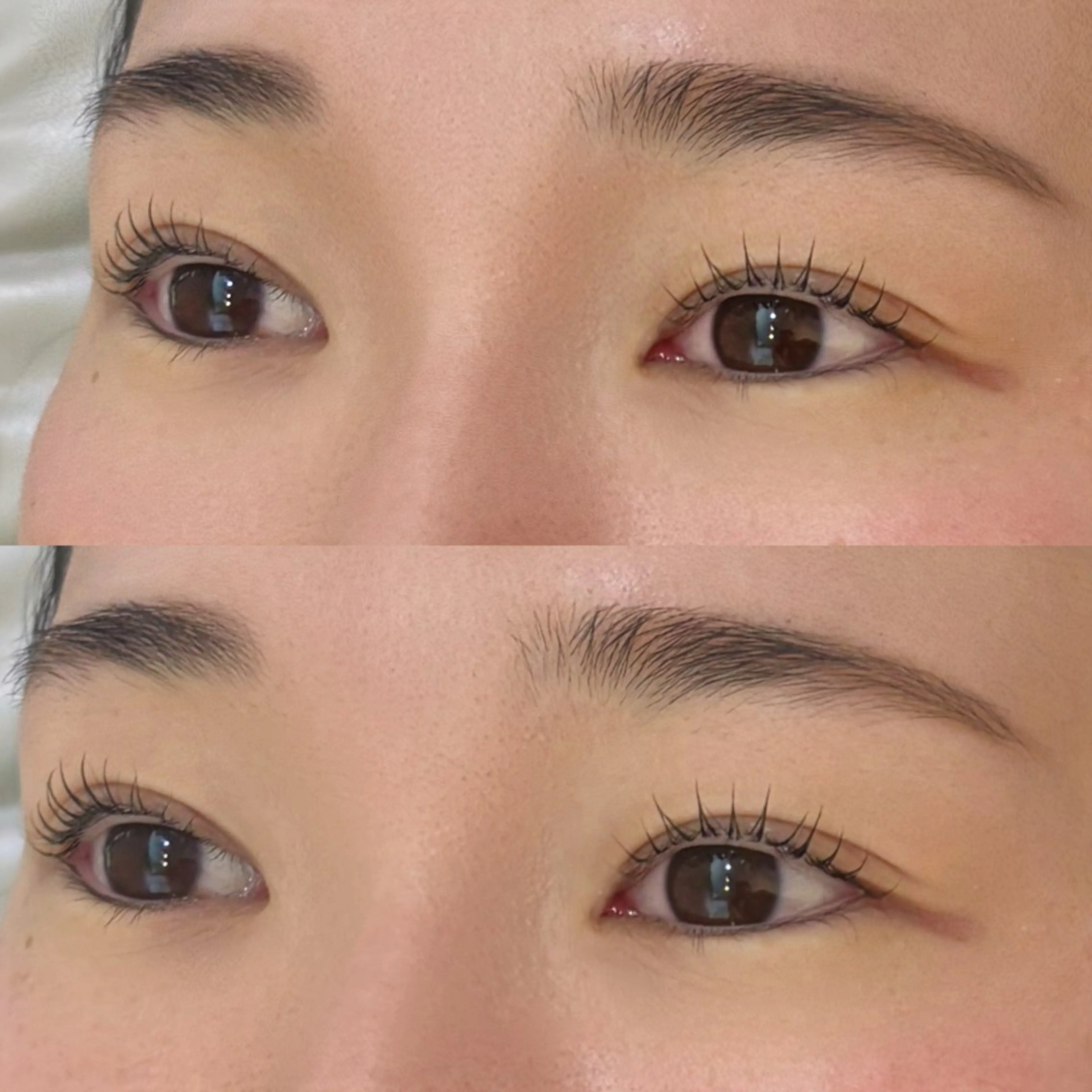 ãããšã¯ã»ããã ããã COL Riysæå±ã»ASUKA ð€Â·Ì©Íã®ãããšã¯ã»ããããã¶ã€ã³