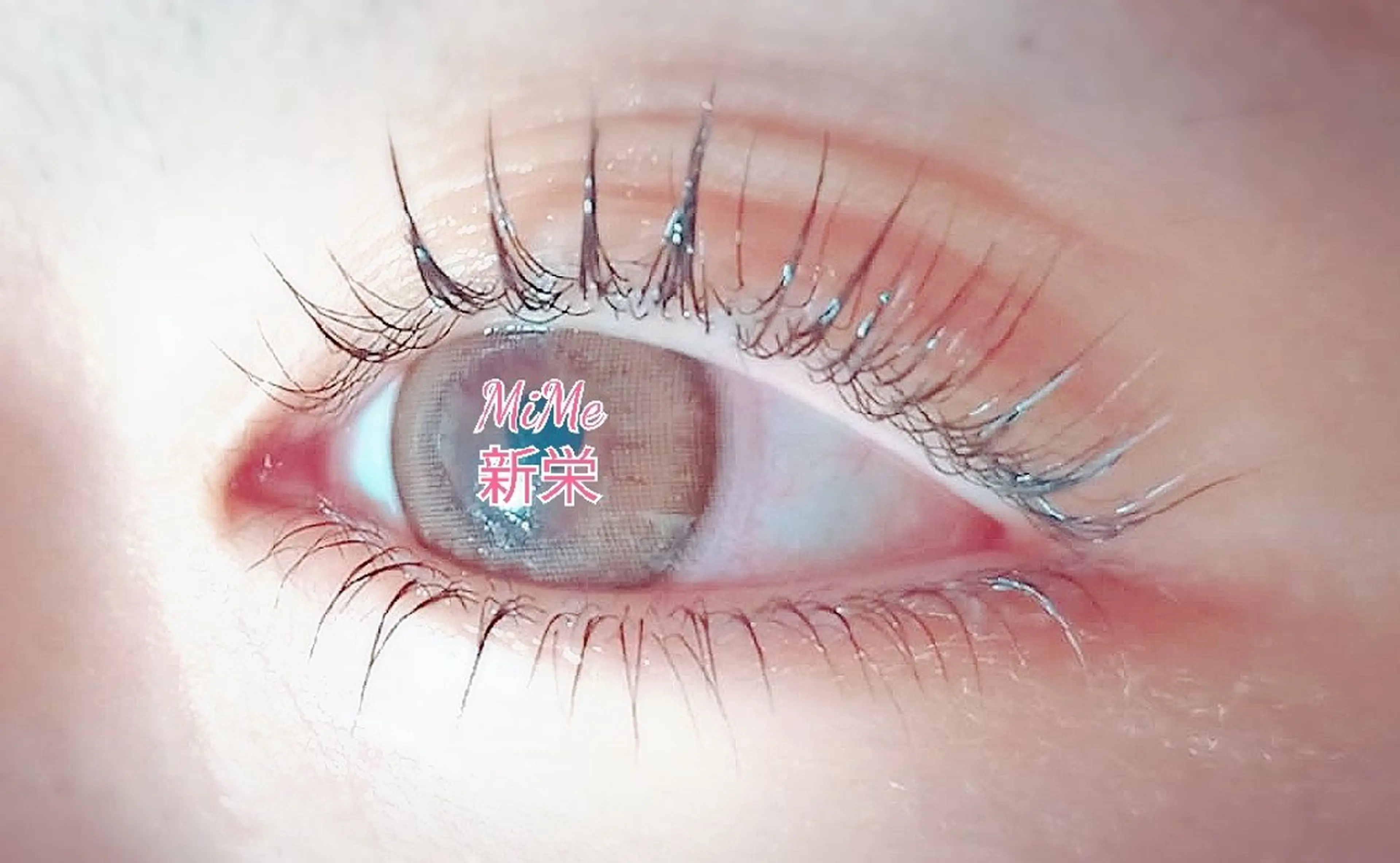 マツエク・マツパ パリジェンヌラッシュリフト 下まつげエクステ 一重×まつ毛パーマ ミミー 南のマツエク・マツパデザイン