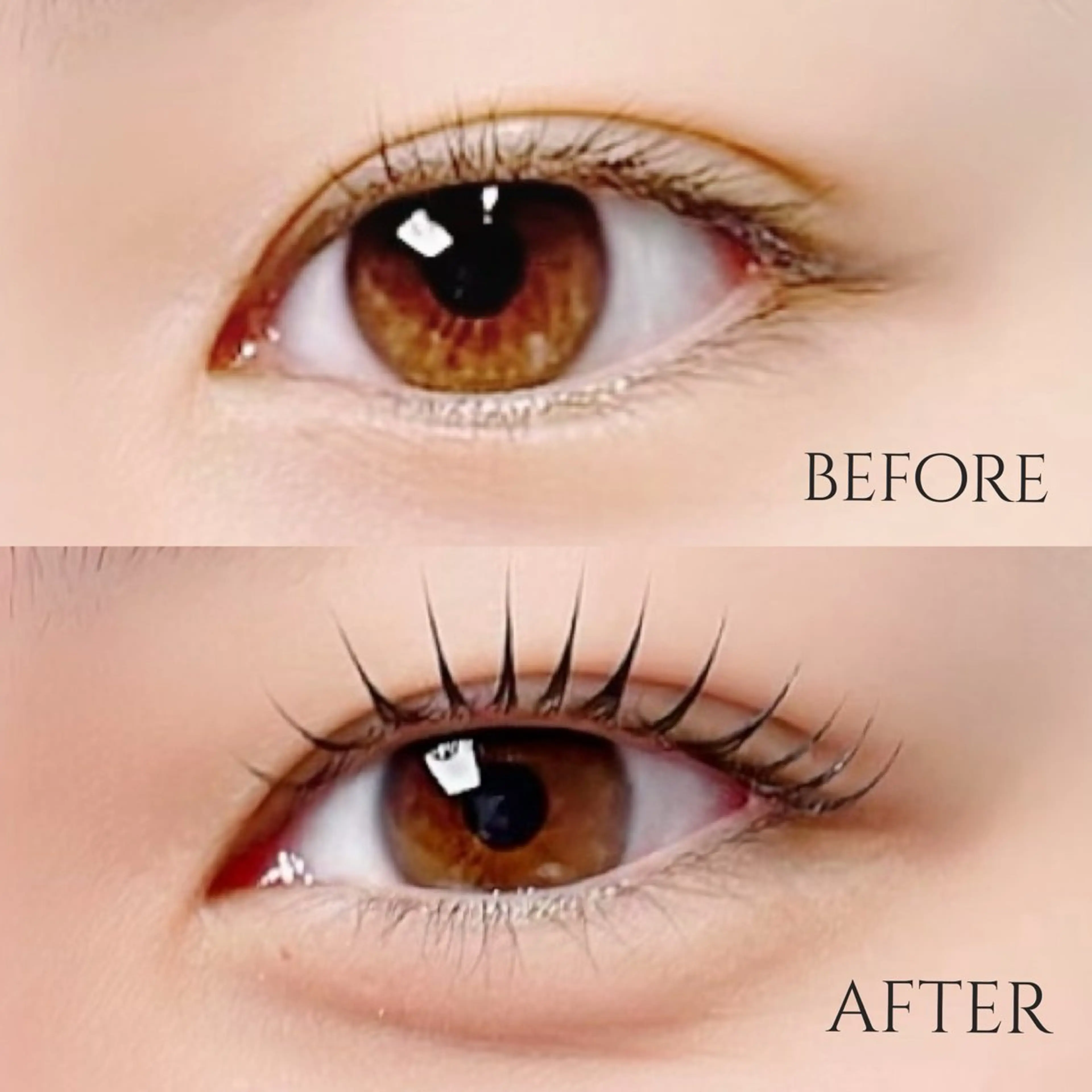 マツエク・マツパ MOMOE 恵比寿 まつげパーマのマツエク・マツパデザイン