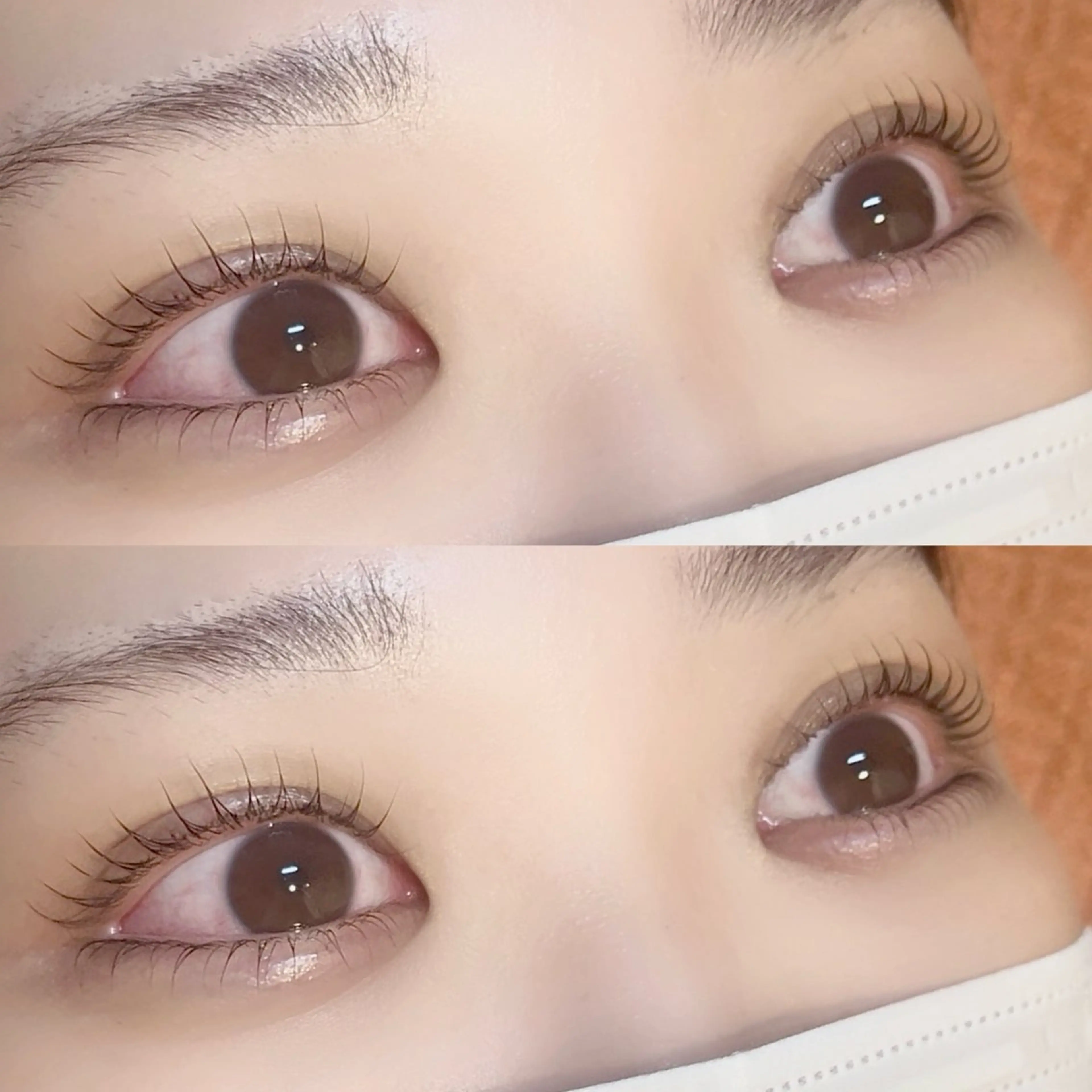 上下まつ毛パーマ （パリ可）トリートメント仕上げ 🤍ˊ˗の写真