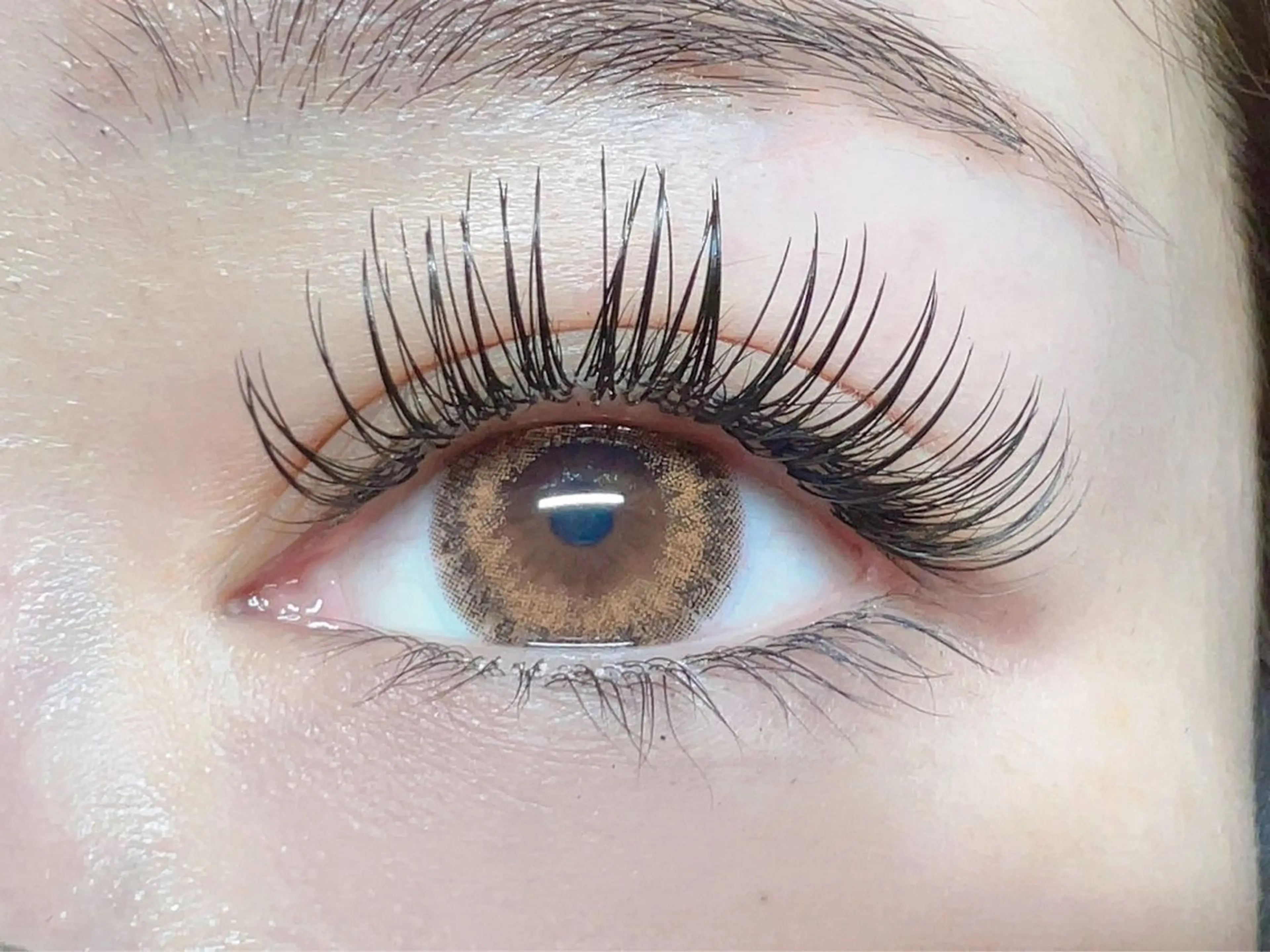 マツエク・マツパ 付け放題 フラットラッシュ マツエク princess 森 碧海のマツエク・マツパデザイン