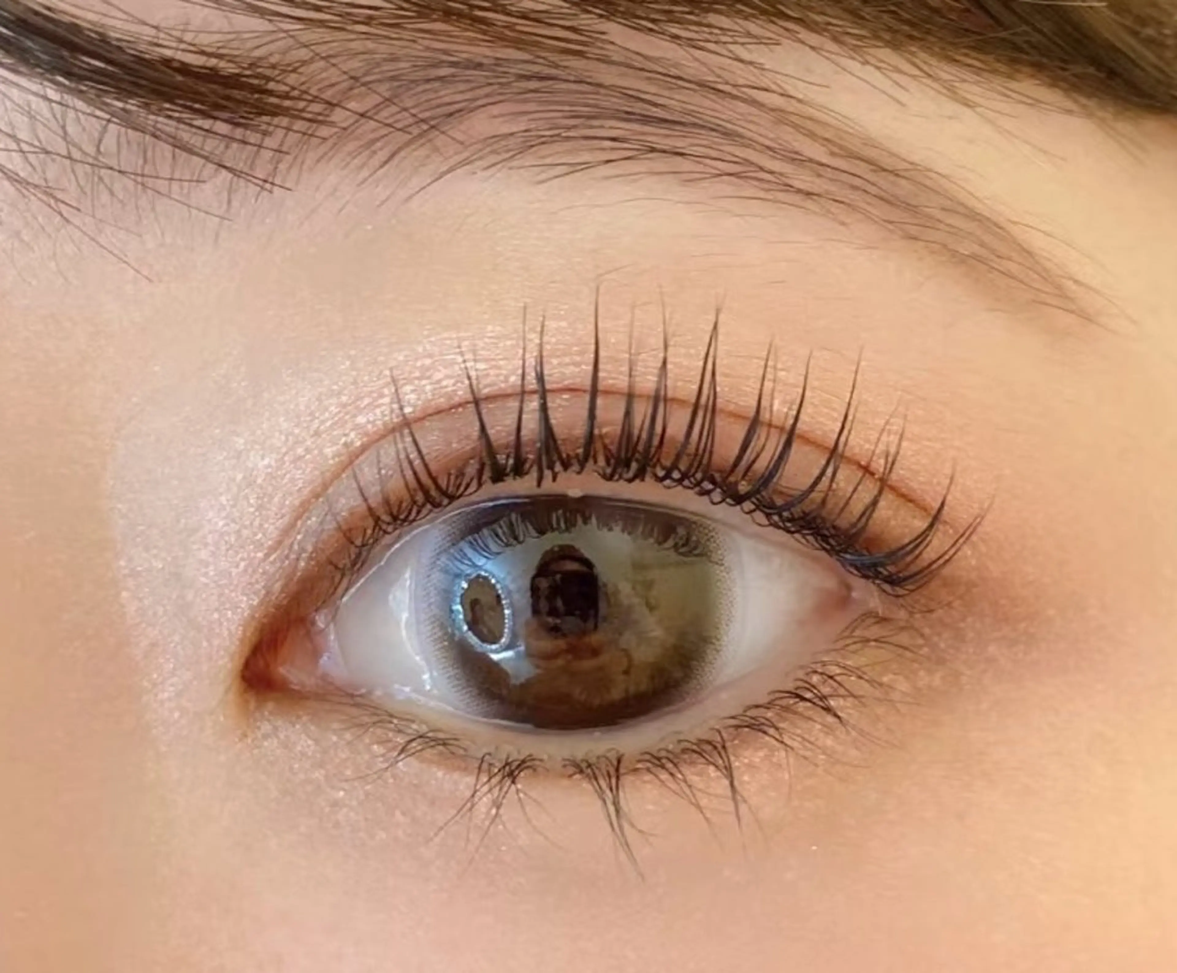 話題のパリジェンヌ✨パリジェンヌラッシュリフト上のみの写真