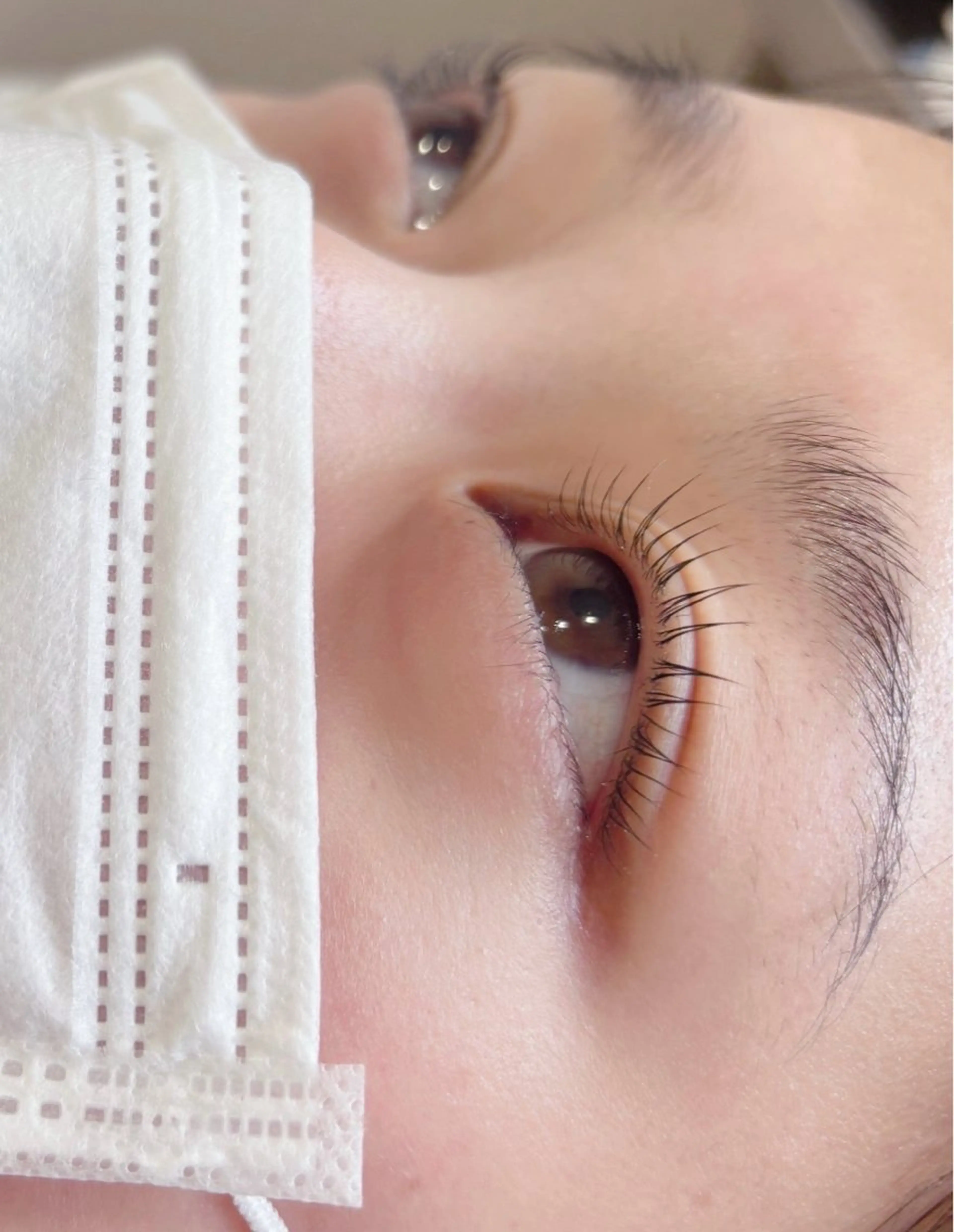 ‎🤍再来 まつ毛パーマ ラッシュリフト￥5500🎀コーティング剤仕上げの写真