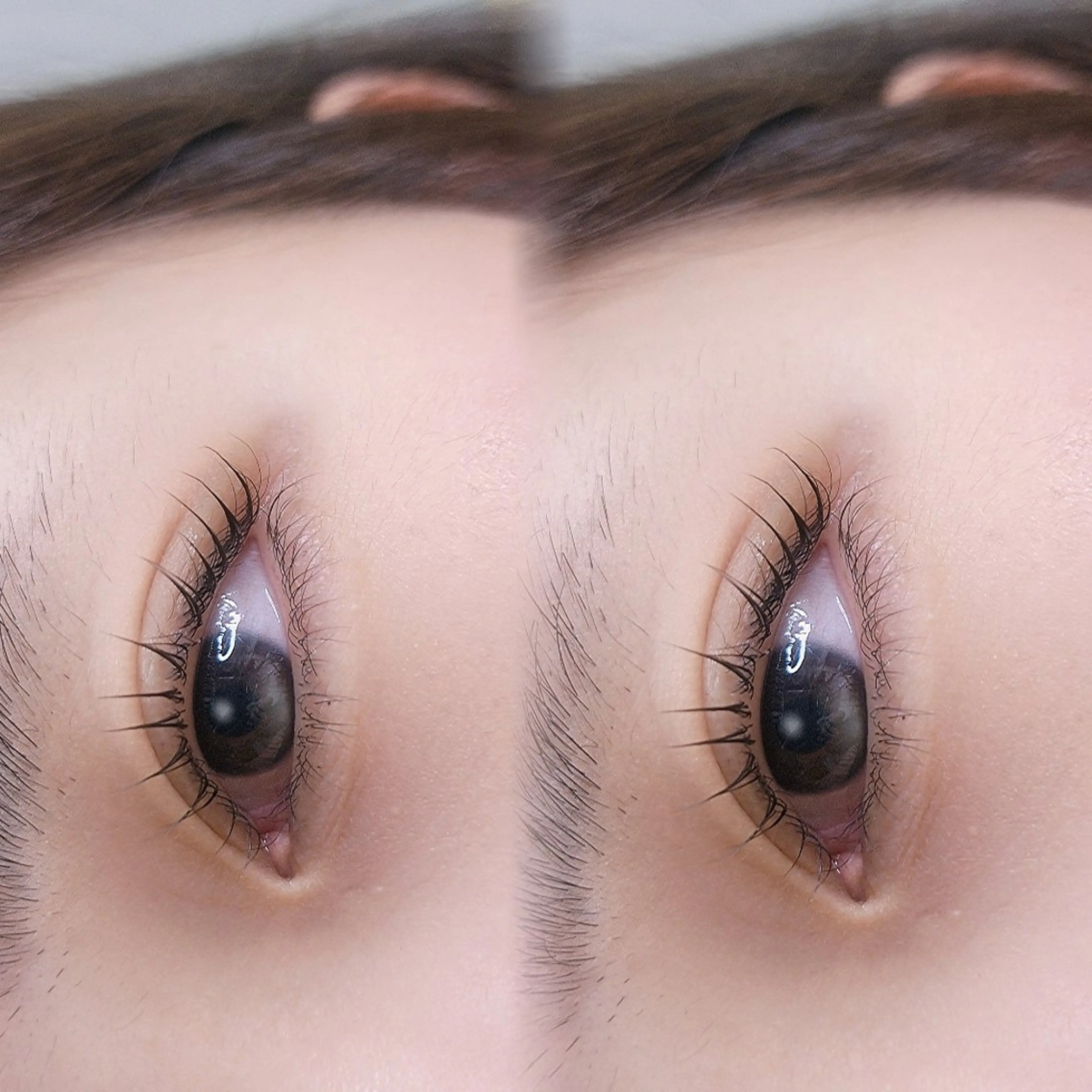 マツエク・マツパ マツパ Terra Hair所属・andeyelash sayuriのマツエク・マツパデザイン