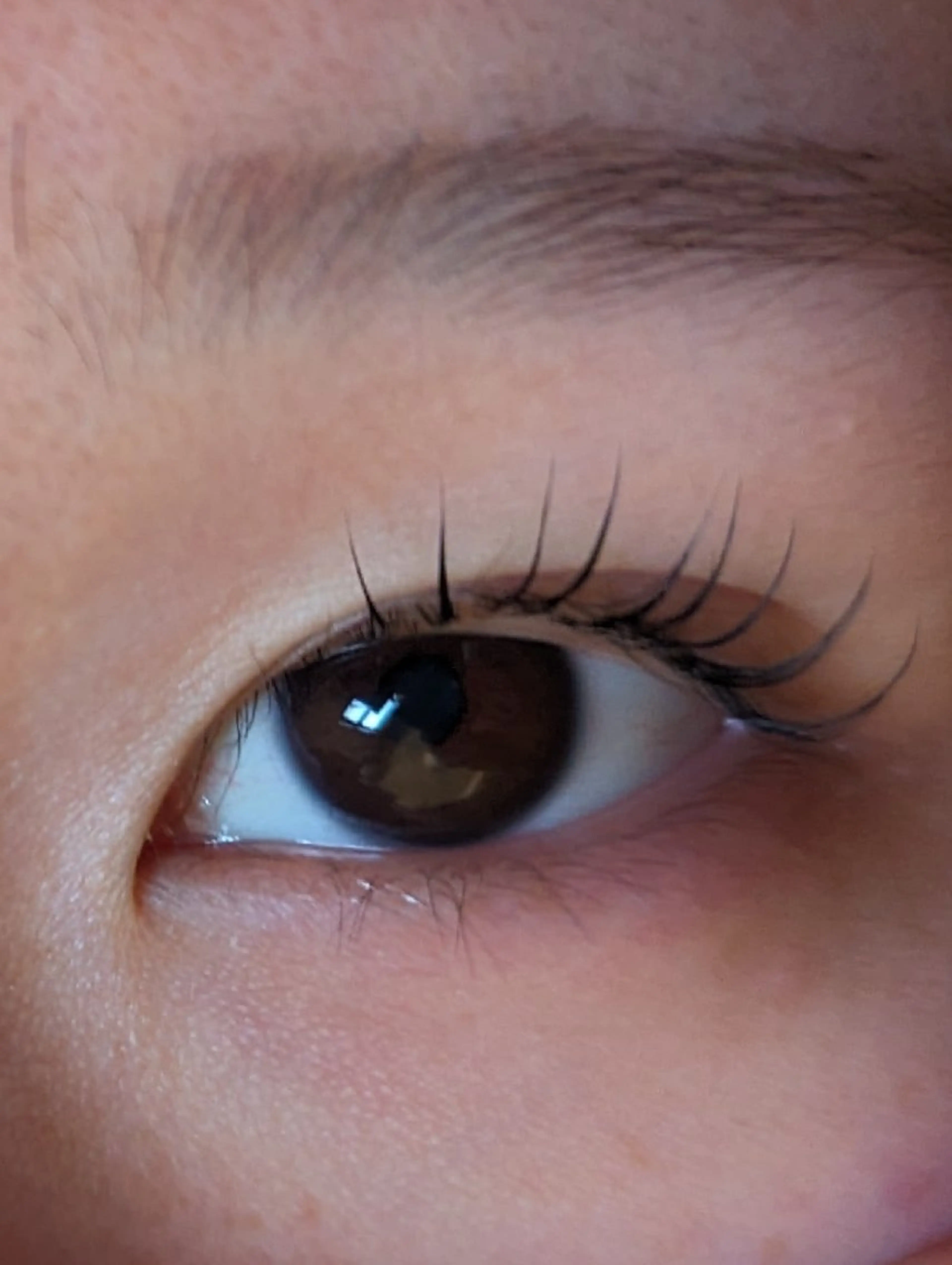 マツエク・マツパ DRAMA所属・まつパでマツ育 DRAMAの眉毛・アイブロウイメージ