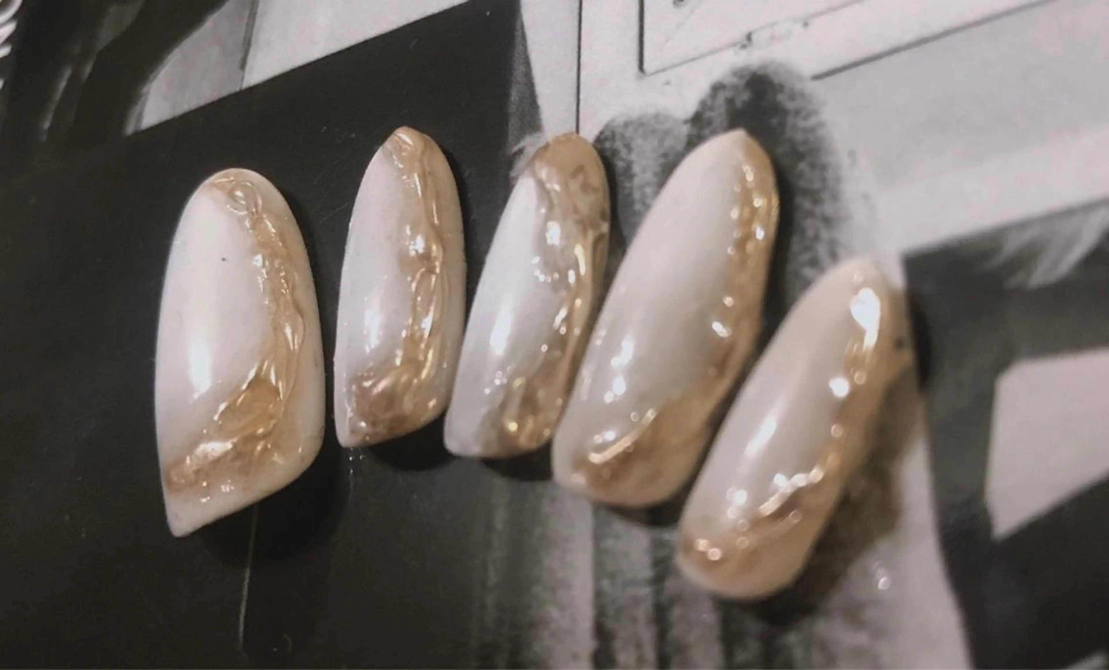 ネイル Hiro nail /Harapeccoのネイルデザイン