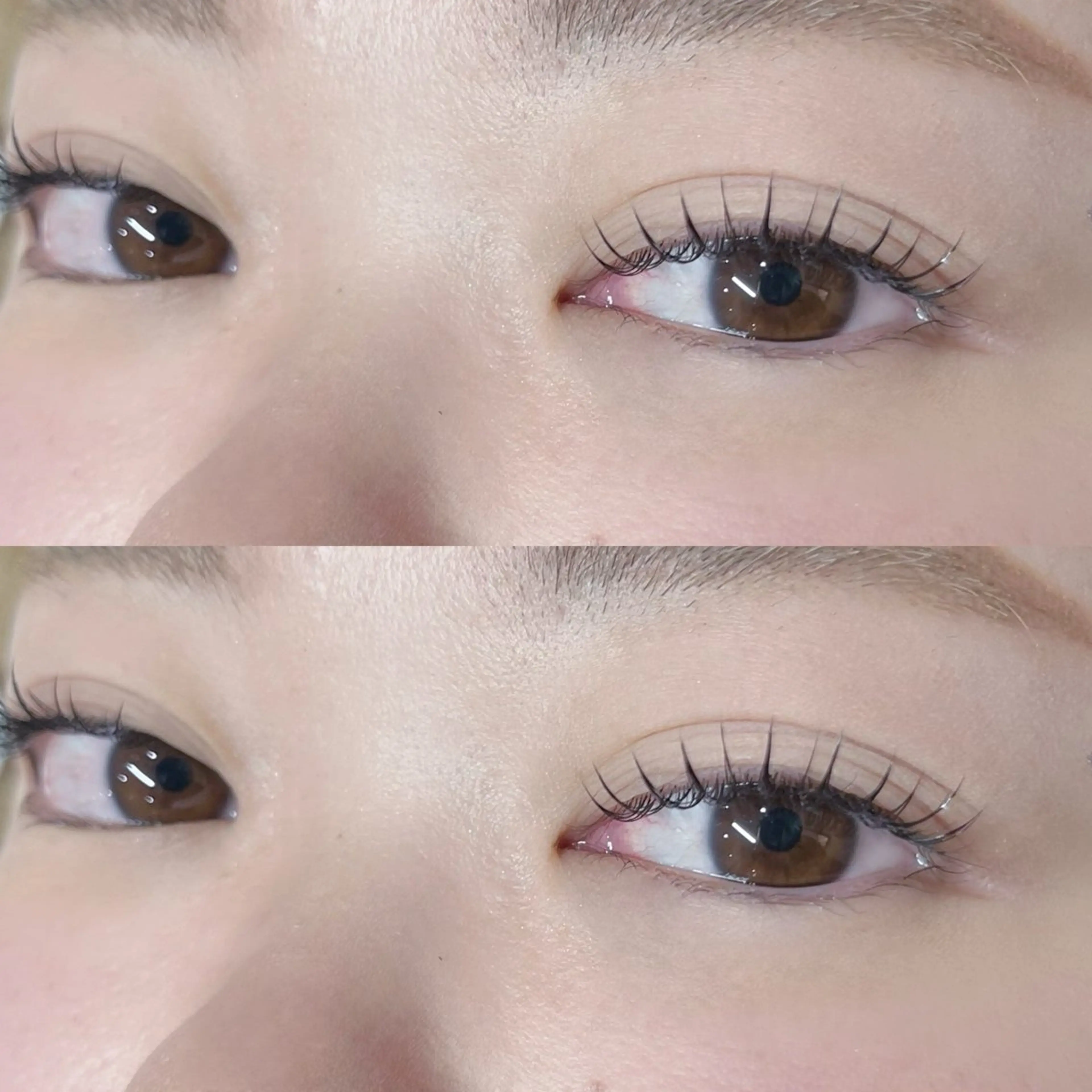 マツエク・マツパ フラットラッシュ signpost 🕊️小林のマツエク・マツパデザイン