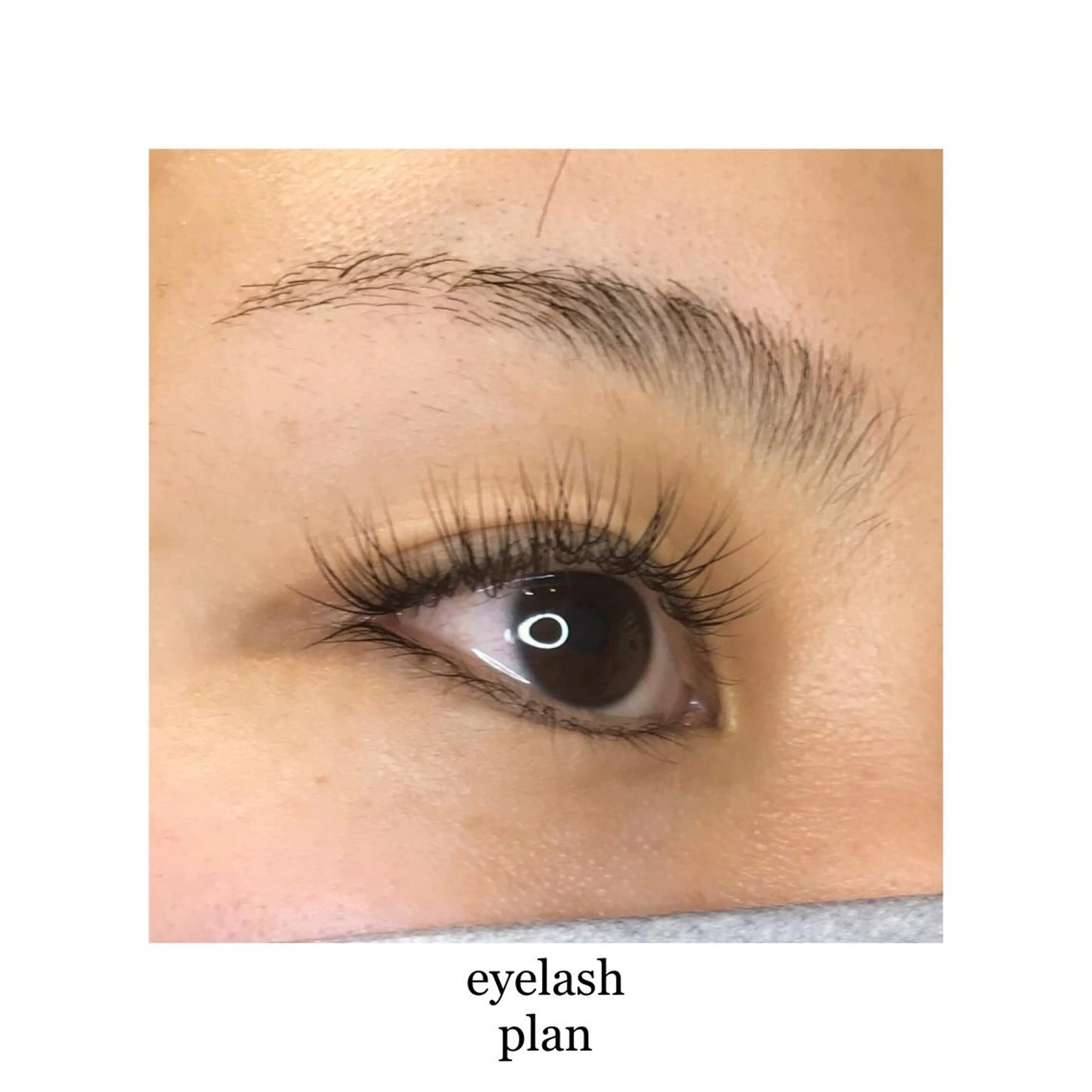 マツエク・マツパ 《eyelash ｉｉｔｅ》森のマツエク・マツパデザイン