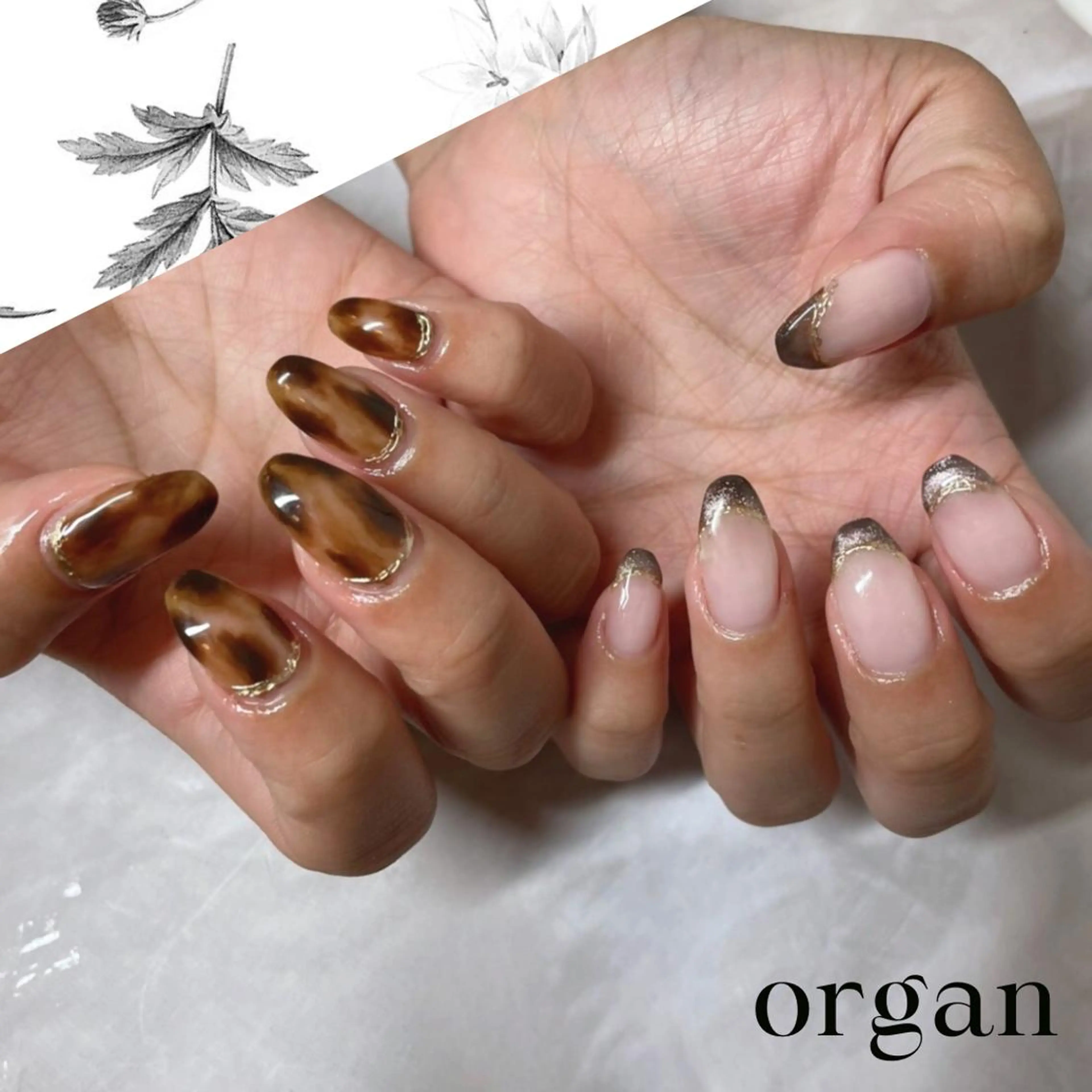 ネイル フレンチネイル マグネットネイル マグネットフレンチ ニュアンスネイル 【ＯＲＧＡＮ】 nailのネイルデザイン