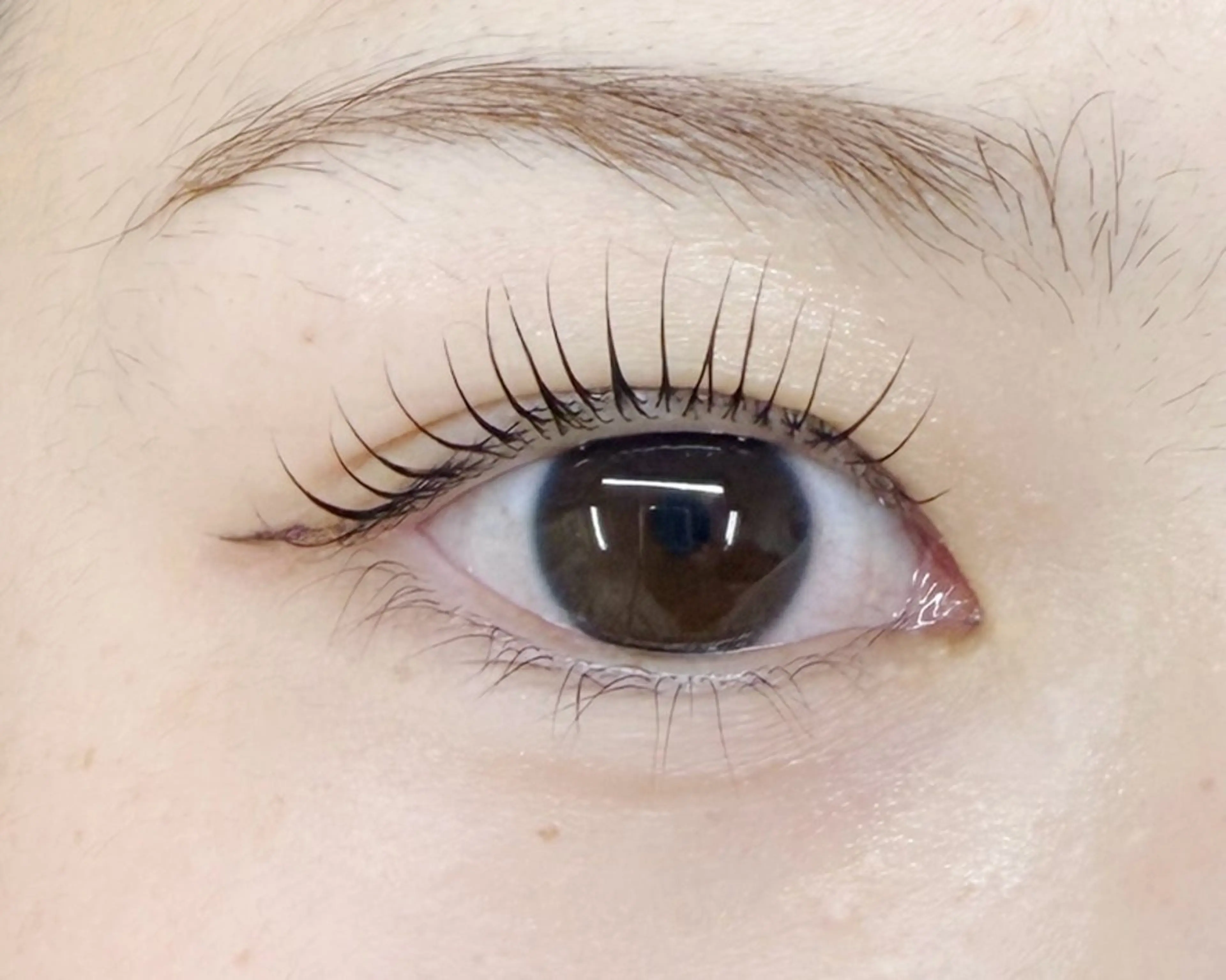 マツエク・マツパ banhada TOKYOのマツエク・マツパデザイン