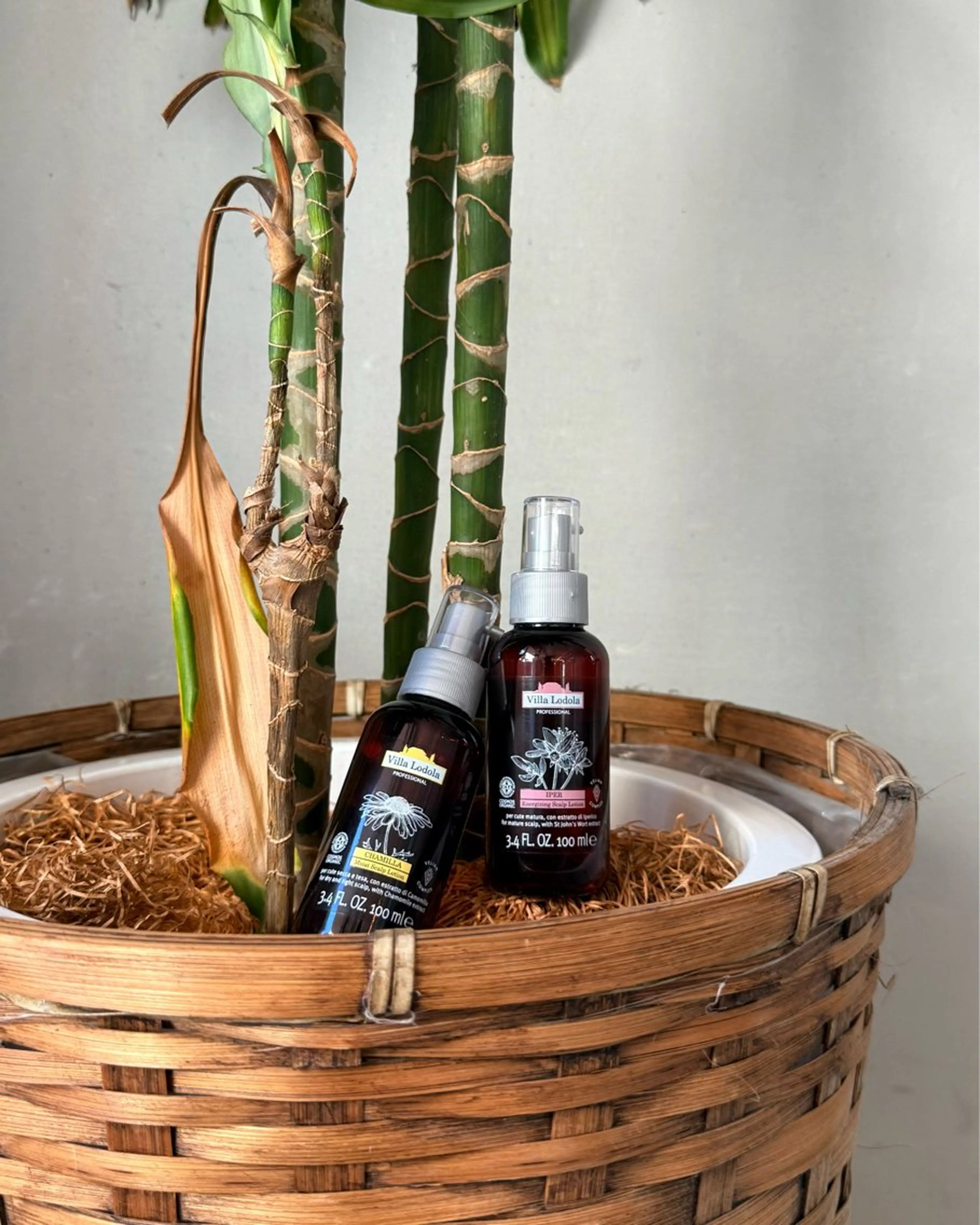 Head Spa Azu🌵のヘアスタイル