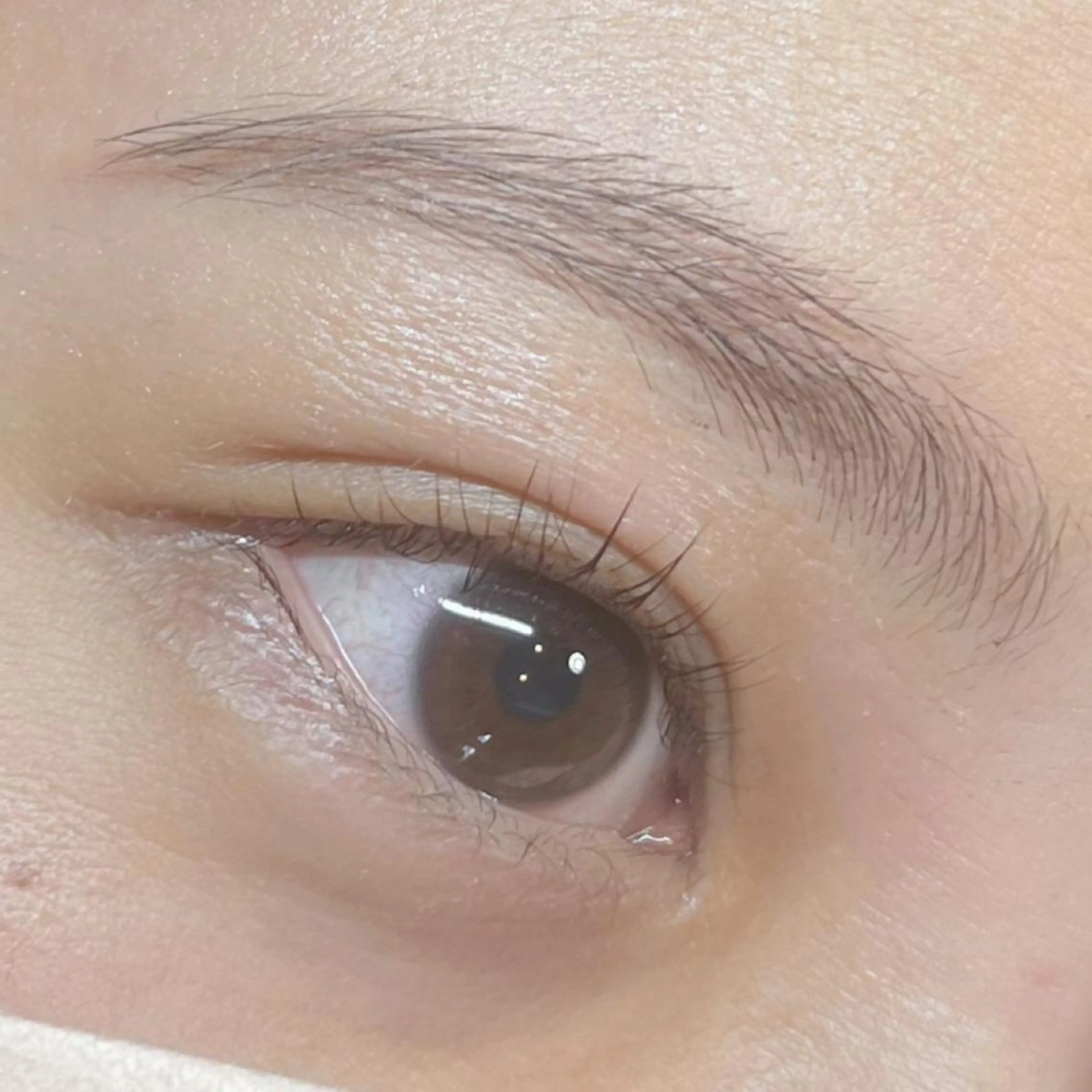 マツエク・マツパ アイブロウ Blanc 橿原 ムラオカの眉毛・アイブロウイメージ