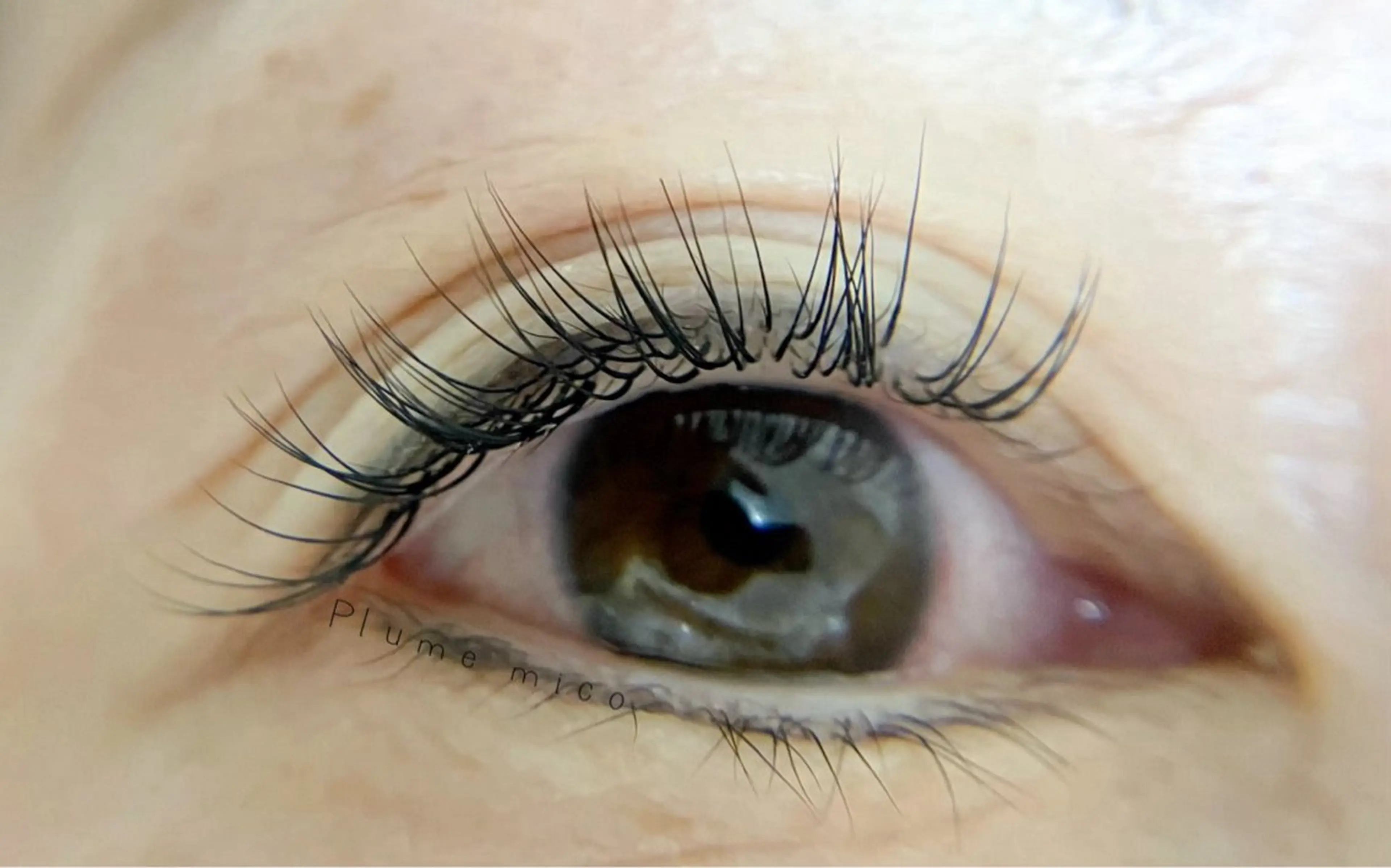 マツエク・マツパ マツエク Plume micoのマツエク・マツパデザイン