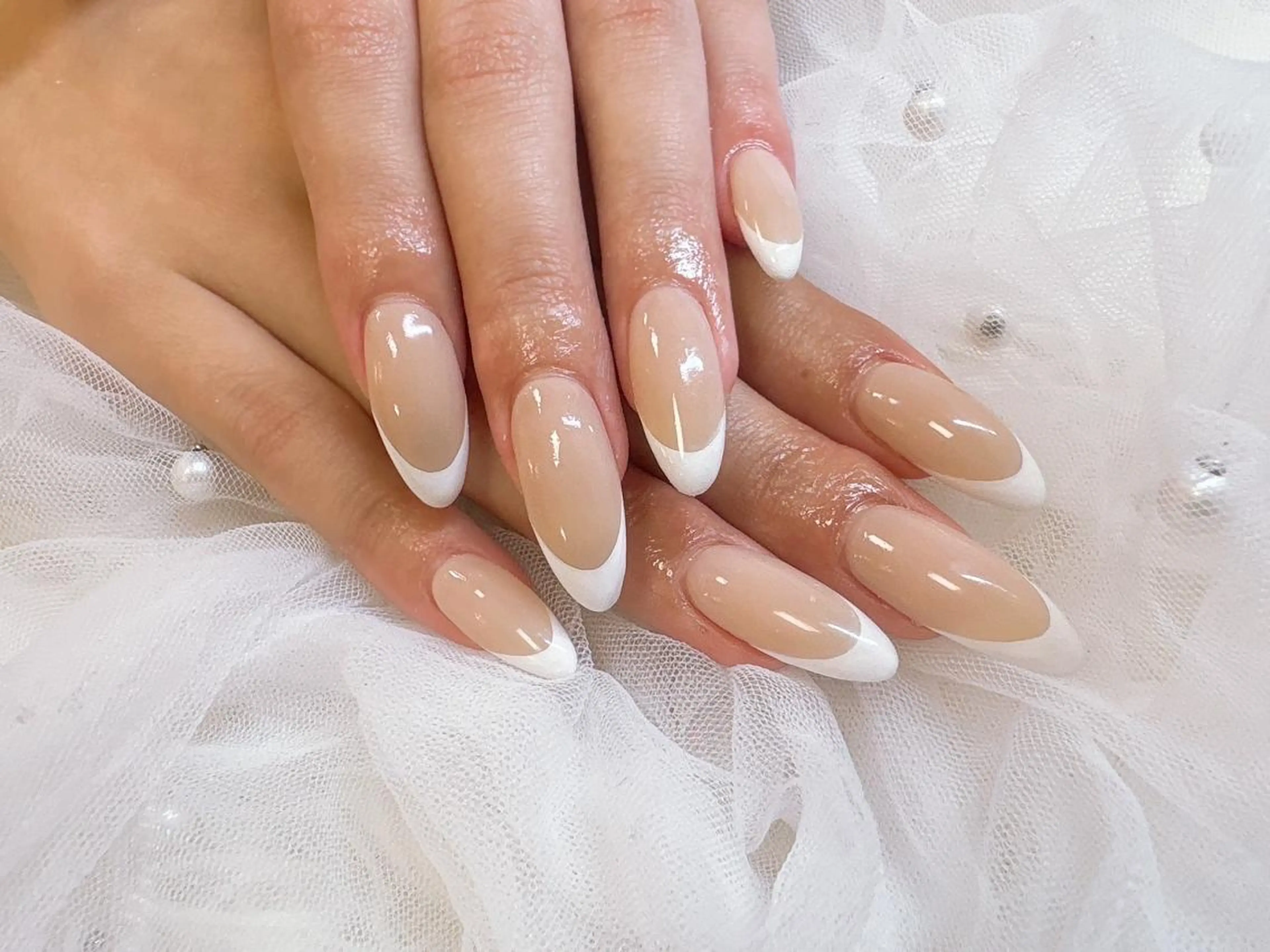 オフ込み　フレンチの写真