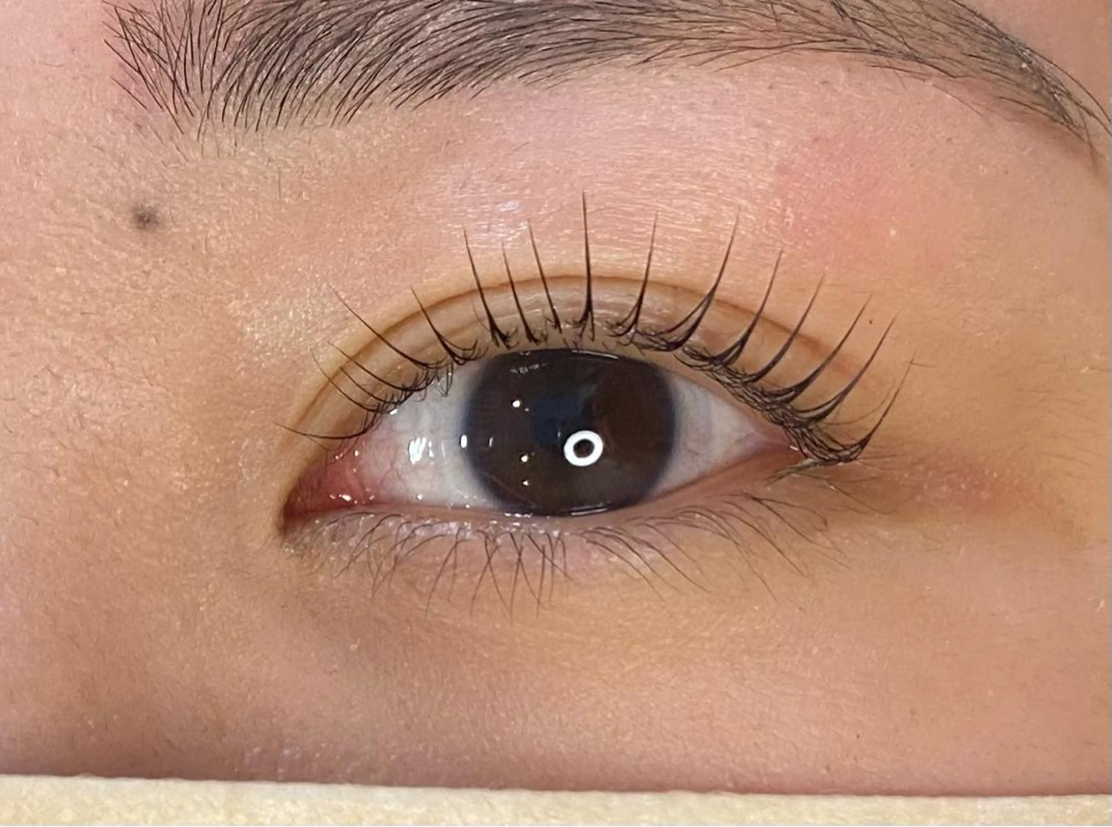 マツエク・マツパ マツパ Chisato🤍池 袋/マツパ/マツエクのマツエク・マツパデザイン