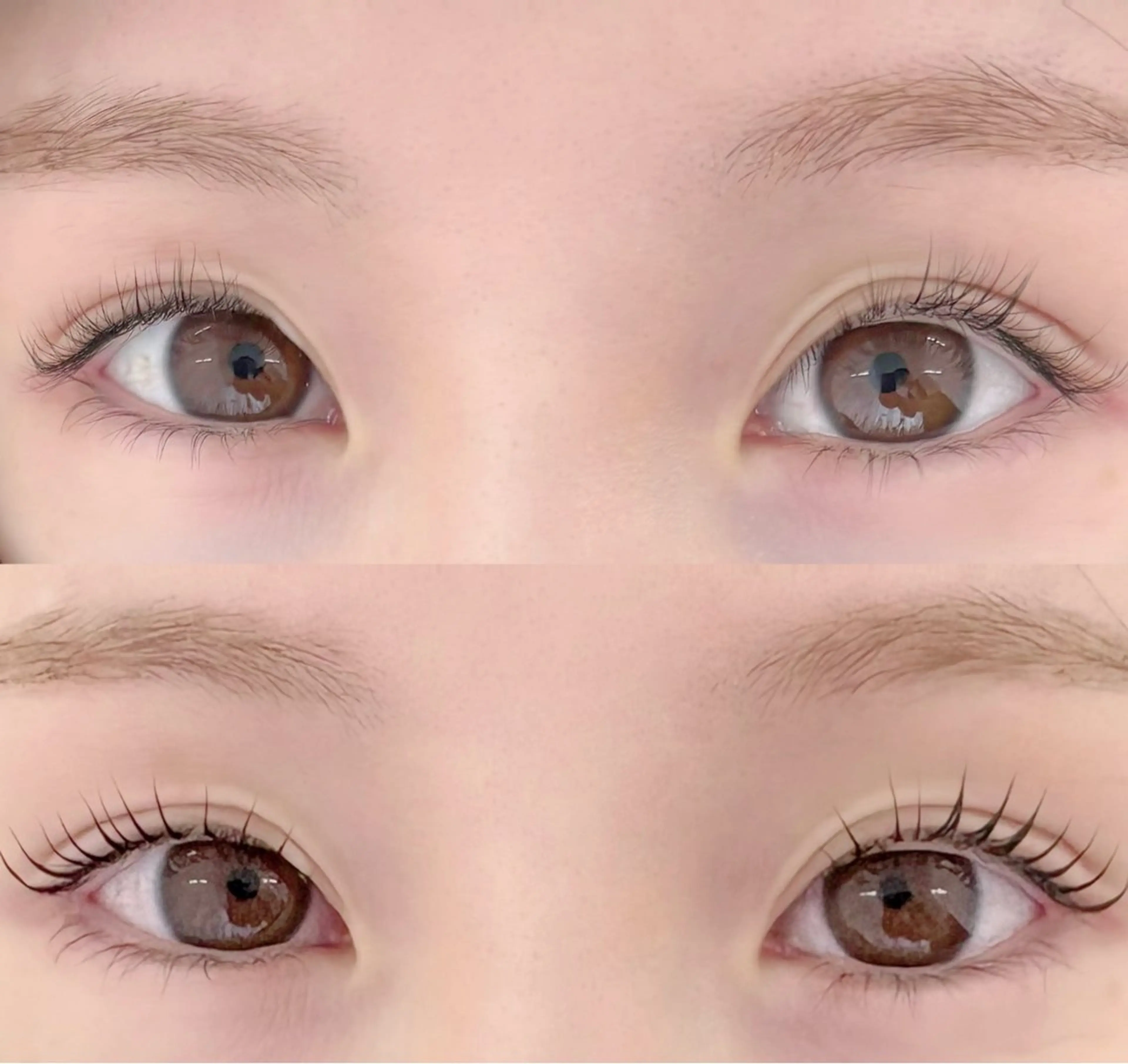 平日限定⛄️【練習モデル】まつげパーマ❄️練習モデルの写真