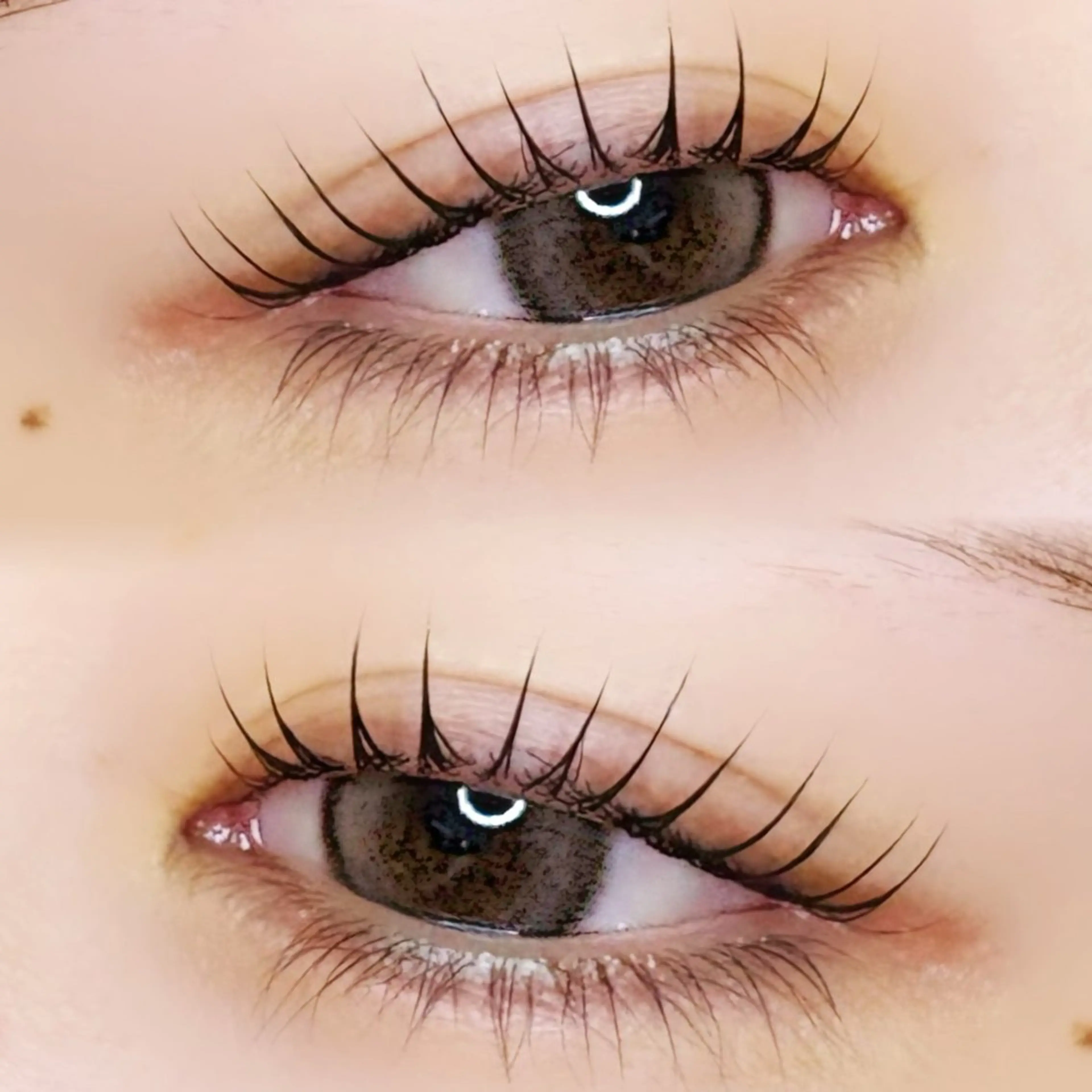 🍒上下まつ毛パーマ🍒束感仕上げ付き🪄の写真