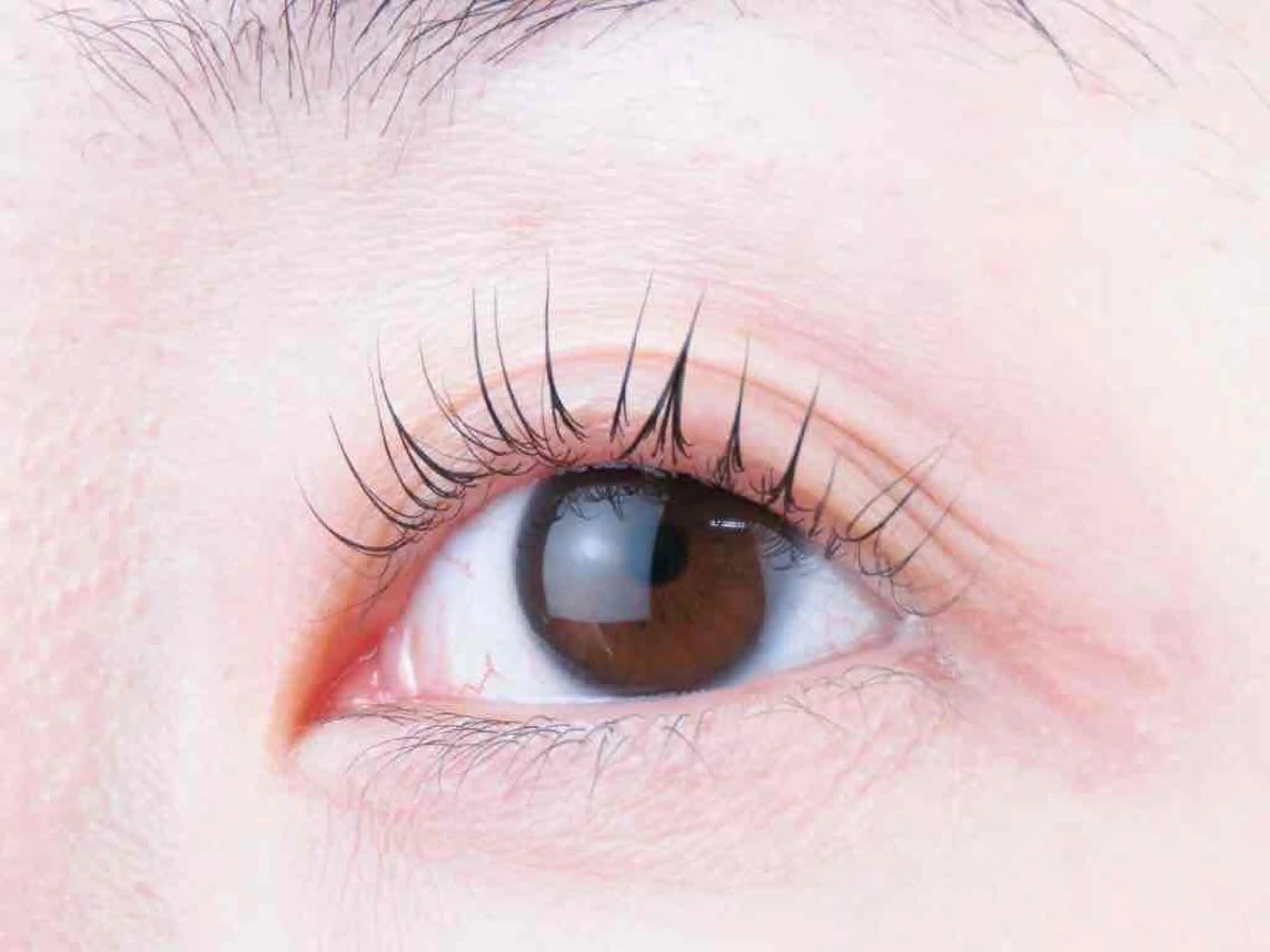 マツエク・マツパ マツパ R'ocoLush 恵比寿店江川のマツエク・マツパデザイン