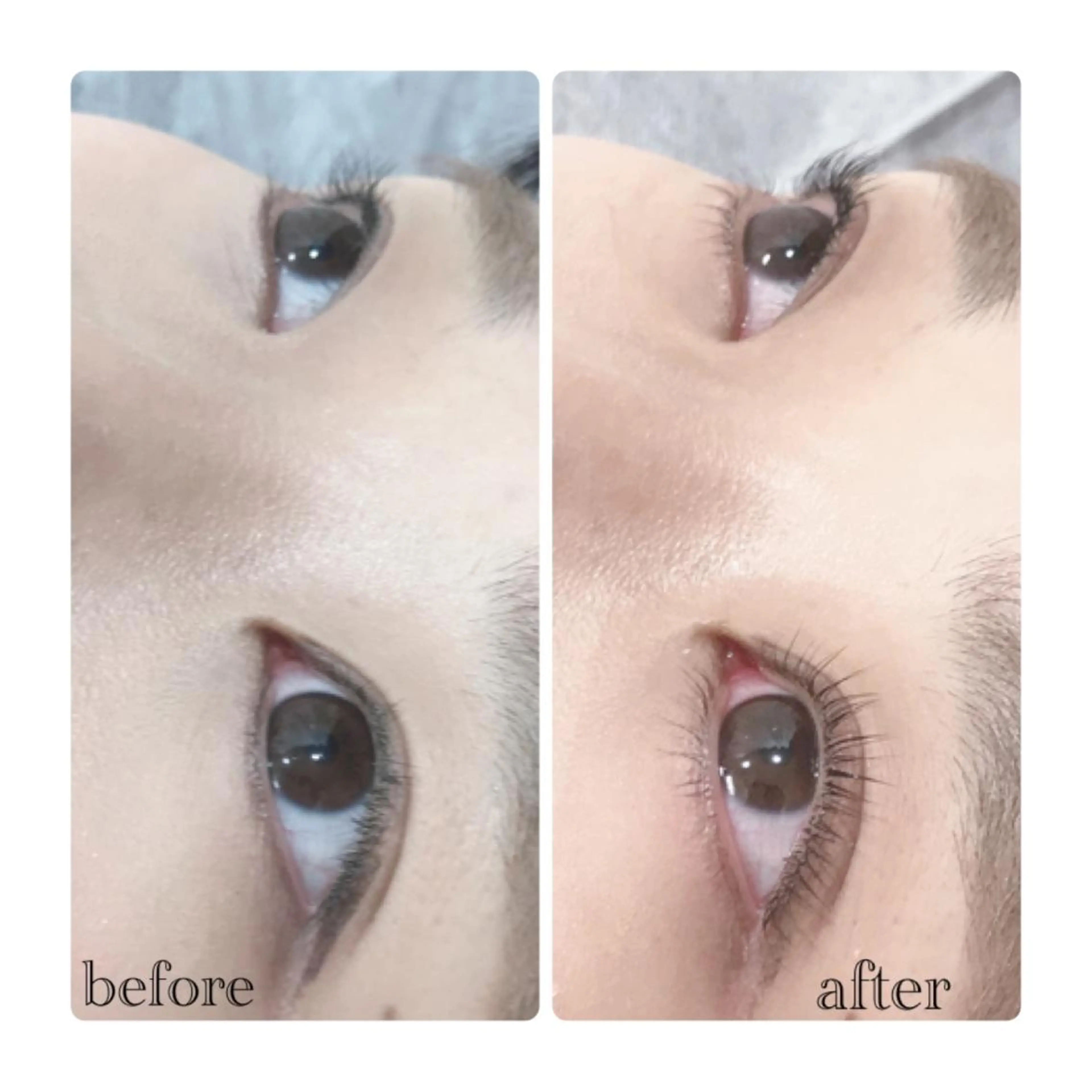 マツエク・マツパ マツパ ELLA 菊地のマツエク・マツパデザイン