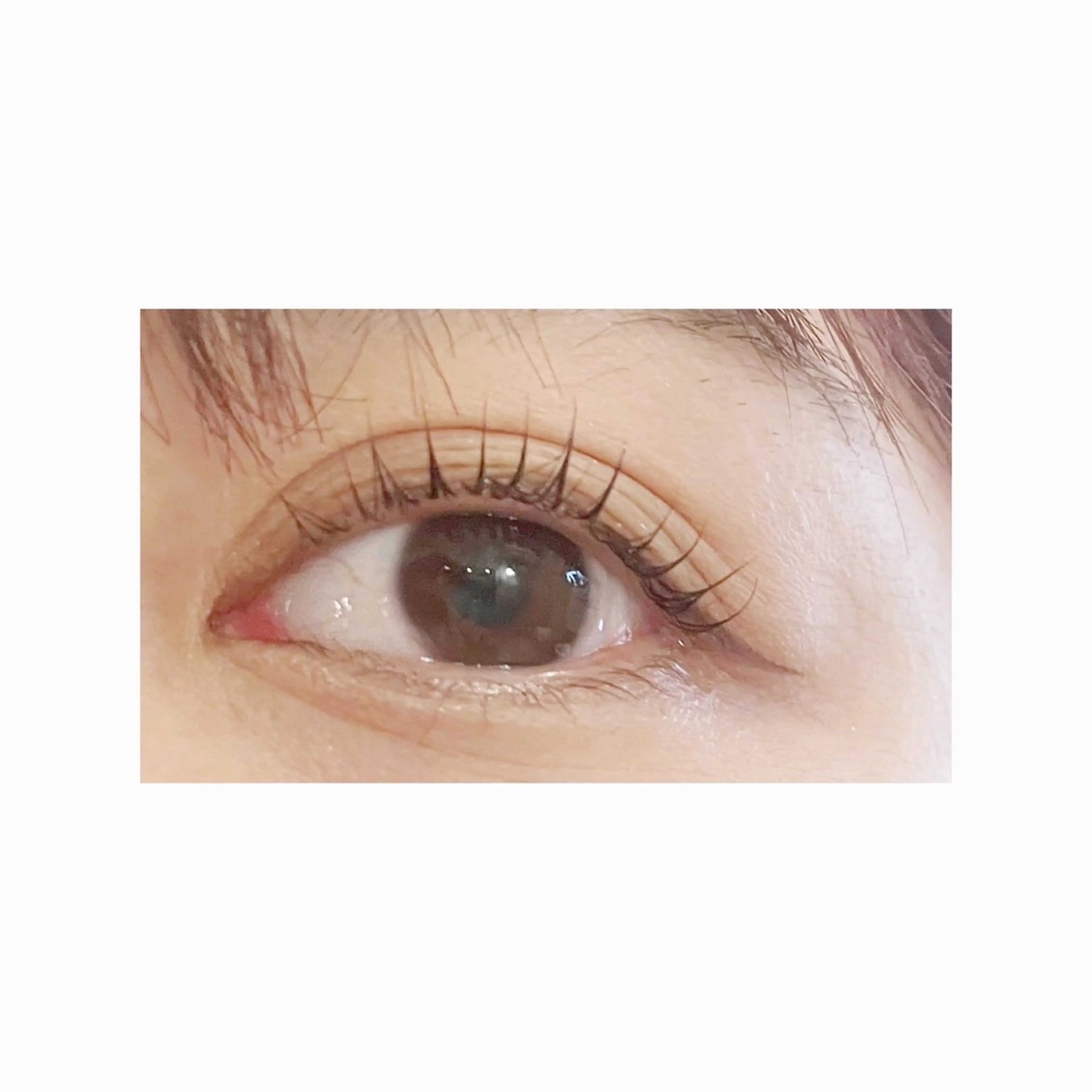 マツエク・マツパ マツパ THREE所属・THREE🌿🪞 ririkaのマツエク・マツパデザイン