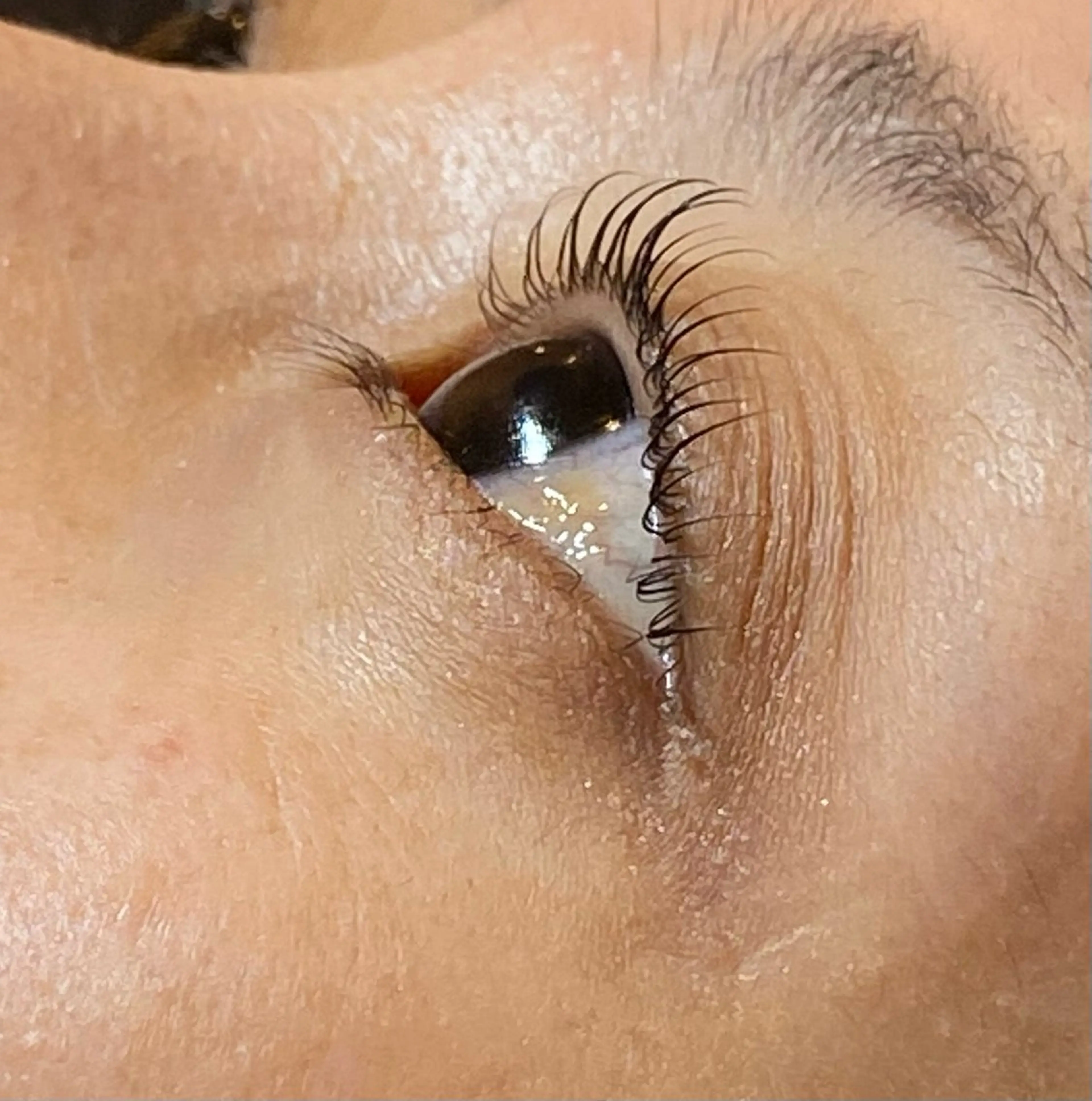 マツエク・マツパ まつげパーマ Daisy lash 京橋店堀井のマツエク・マツパデザイン