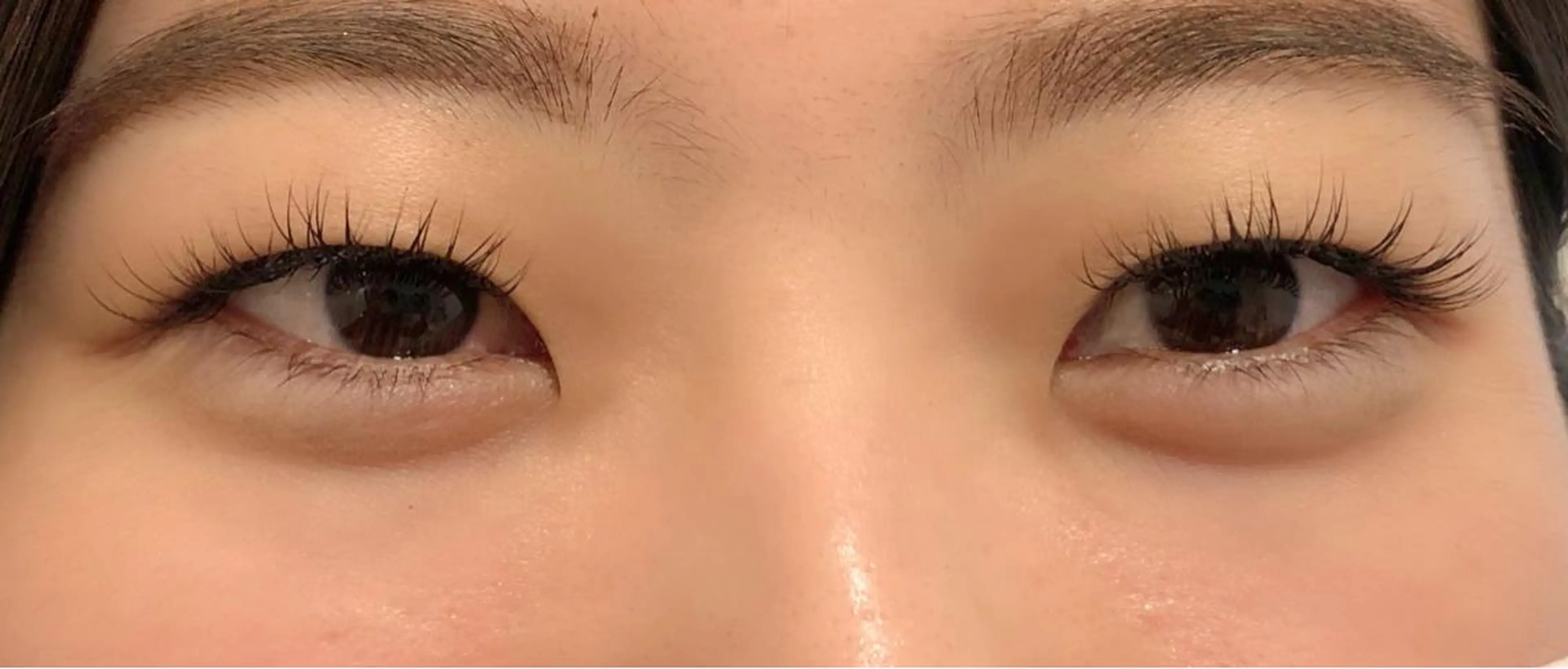 ハイブリッドラッシュ 両目100本の写真