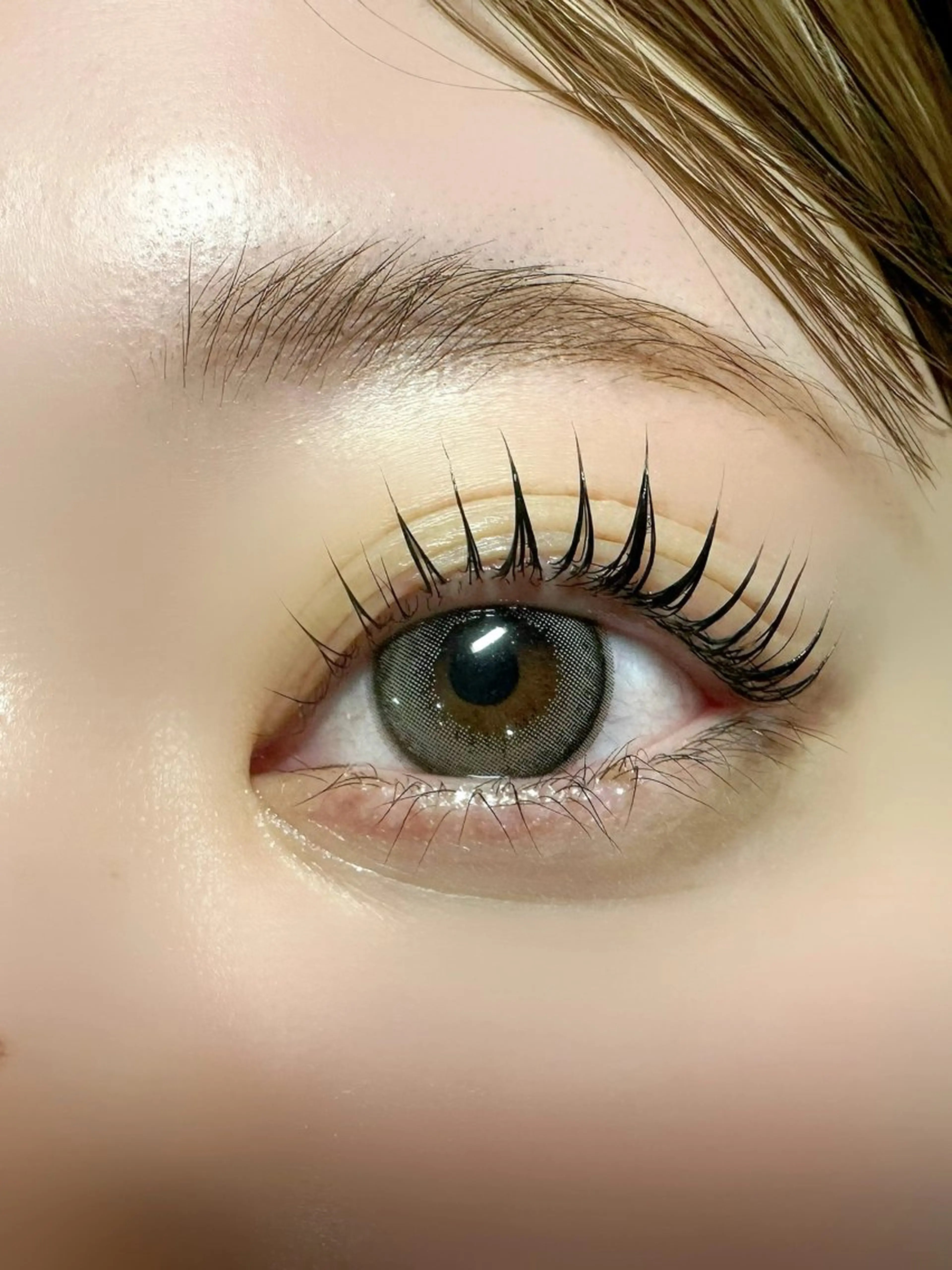 マツエク・マツパ anela 🐶大竹のマツエク・マツパデザイン