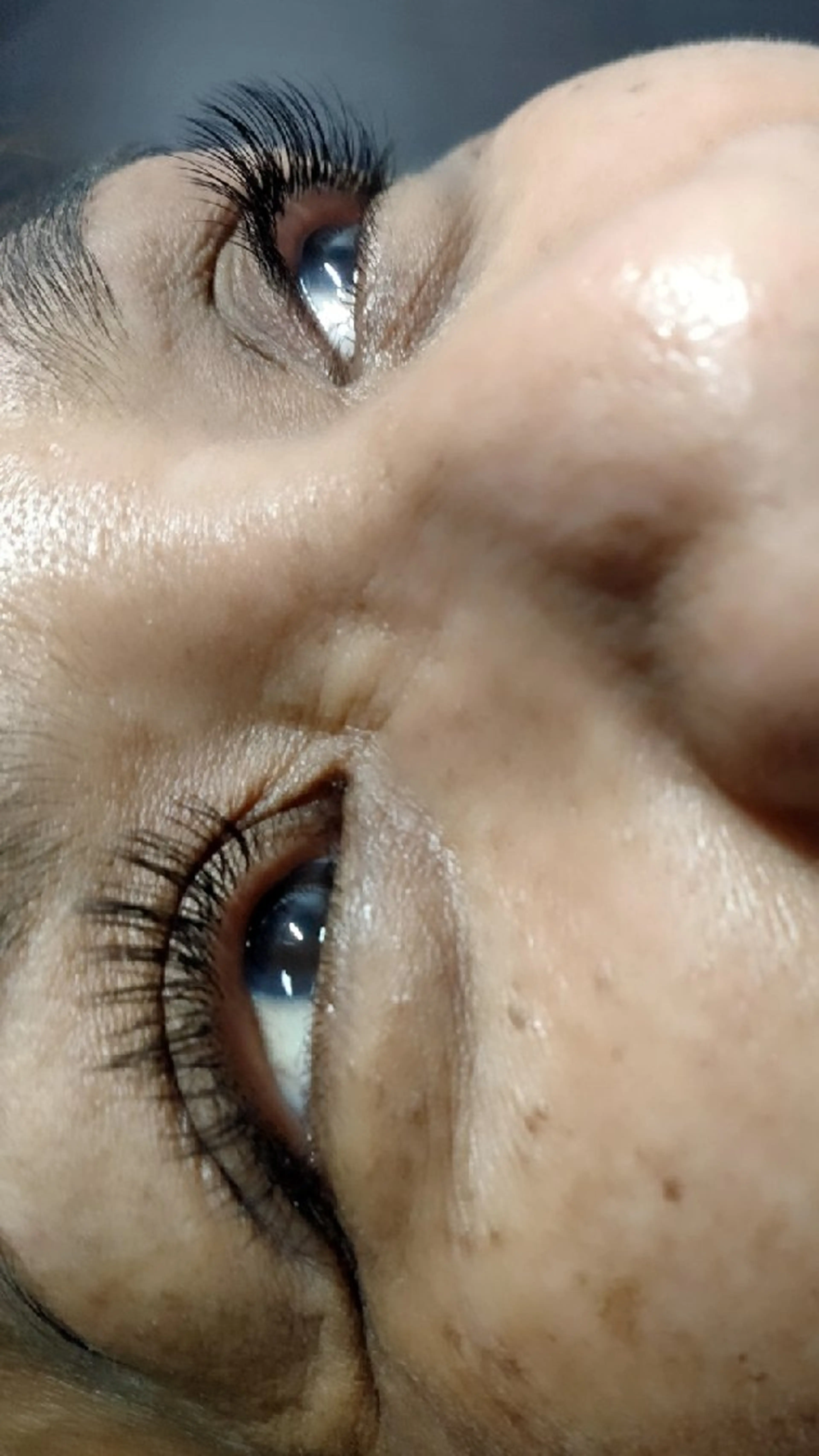 フラットラッシュ80本までの写真