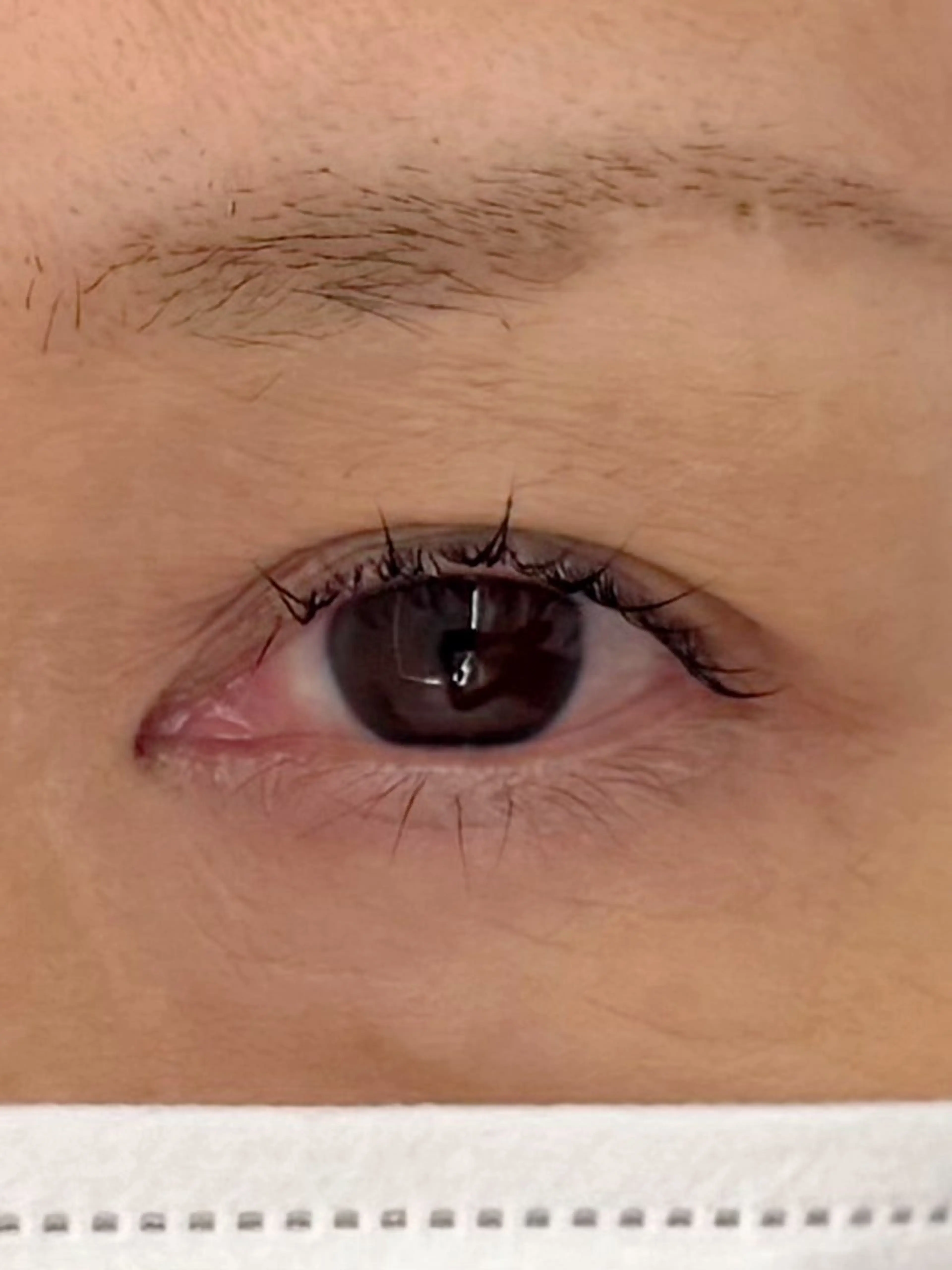 マツエク・マツパ クロダ ワカハのマツエク・マツパデザイン