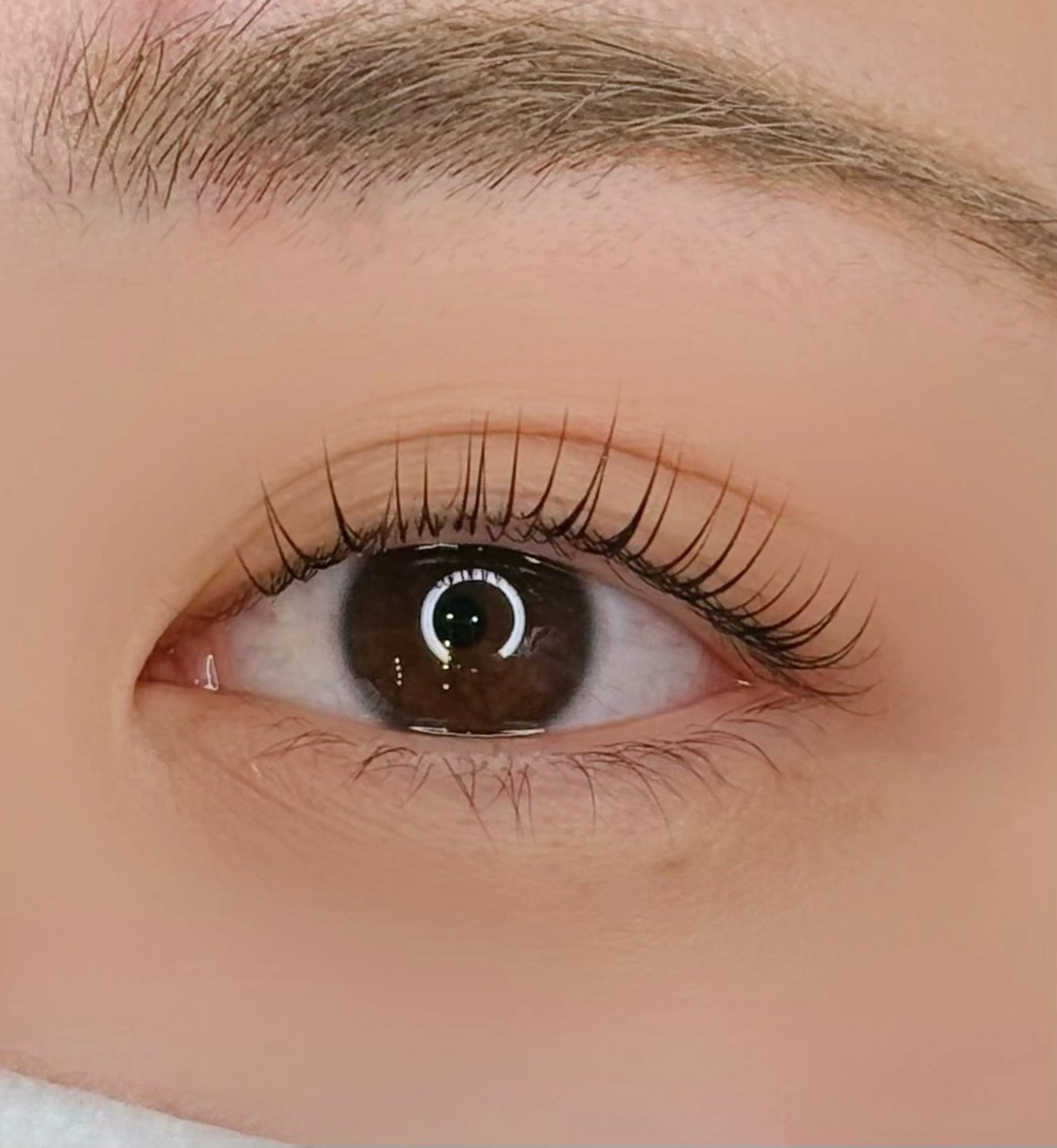 ミニモ限定✨OPEN記念価格🫧【最強マツパ】ヒト幹細胞ラッシュリフト(上)+美容液¥19000→¥7800の写真