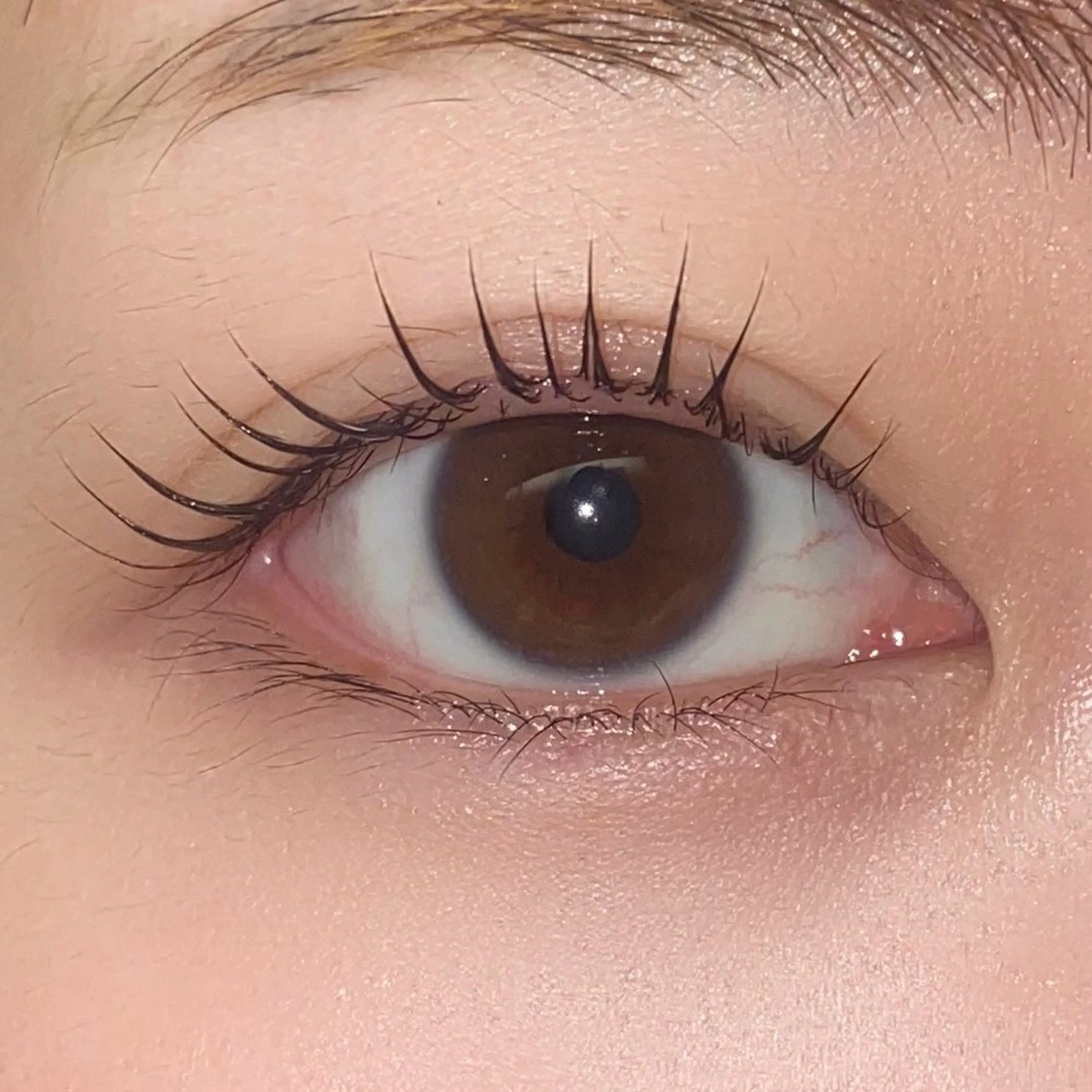 マツエク・マツパ carrefourNoa松戸所属・森 夏希のマツエク・マツパデザイン