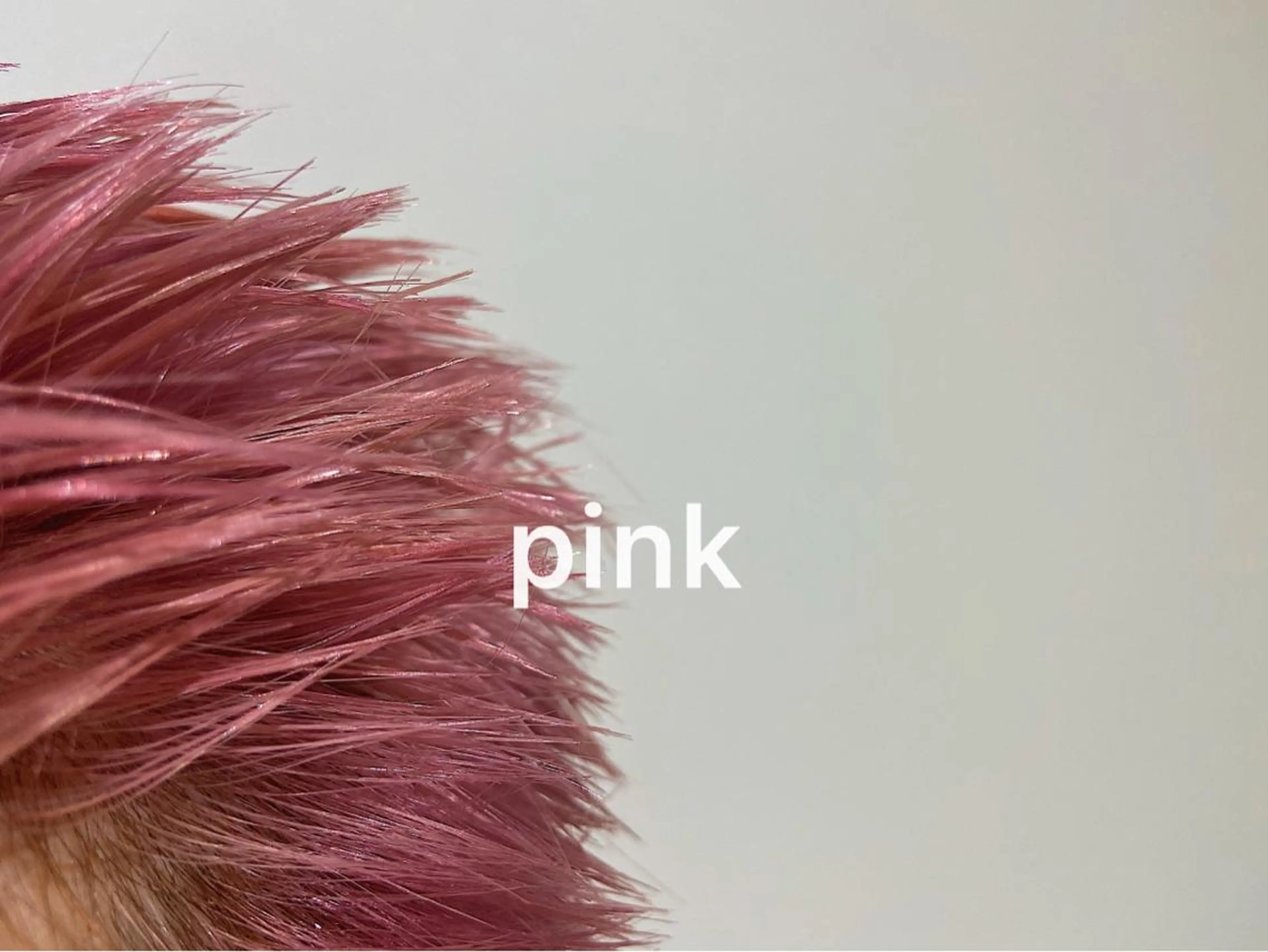 ショート ヘアカラー STAN WOOD所属・似合わせcut 🔥yutakaのヘアスタイル