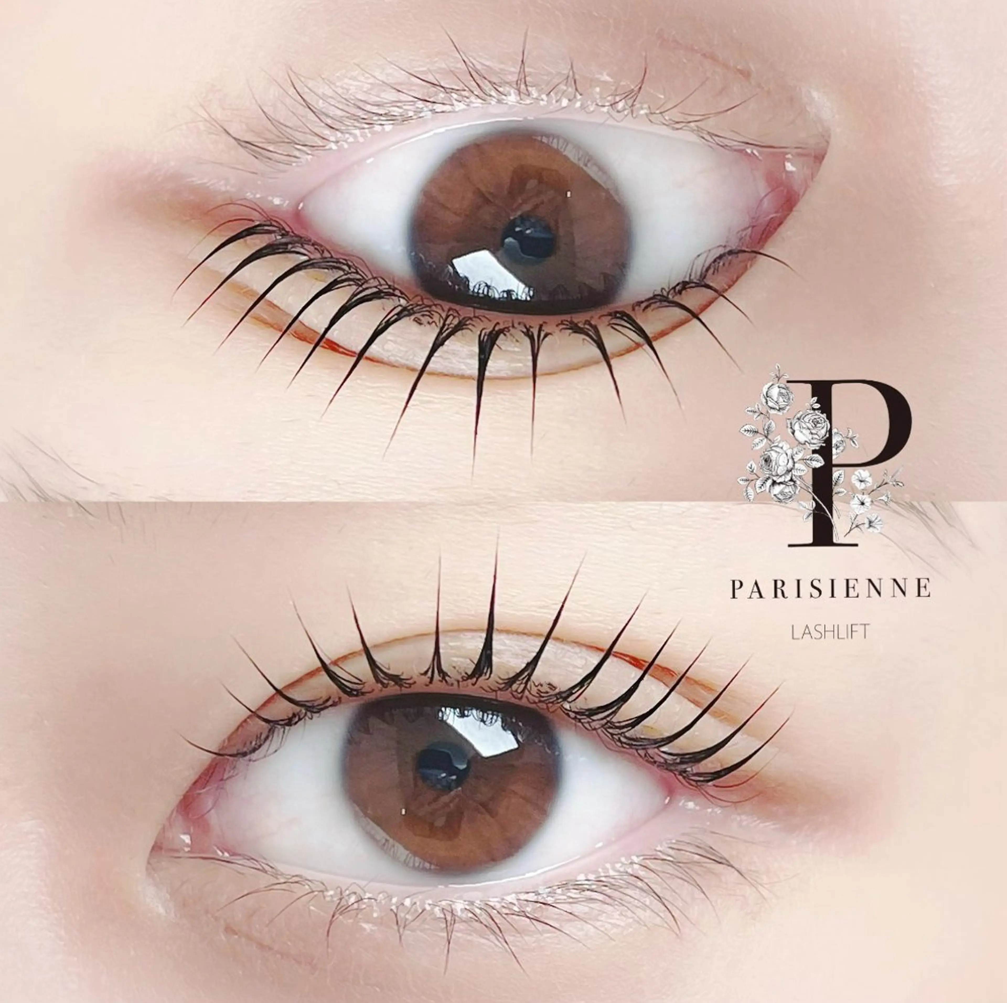 マツエク・マツパ muse momoのマツエク・マツパデザイン