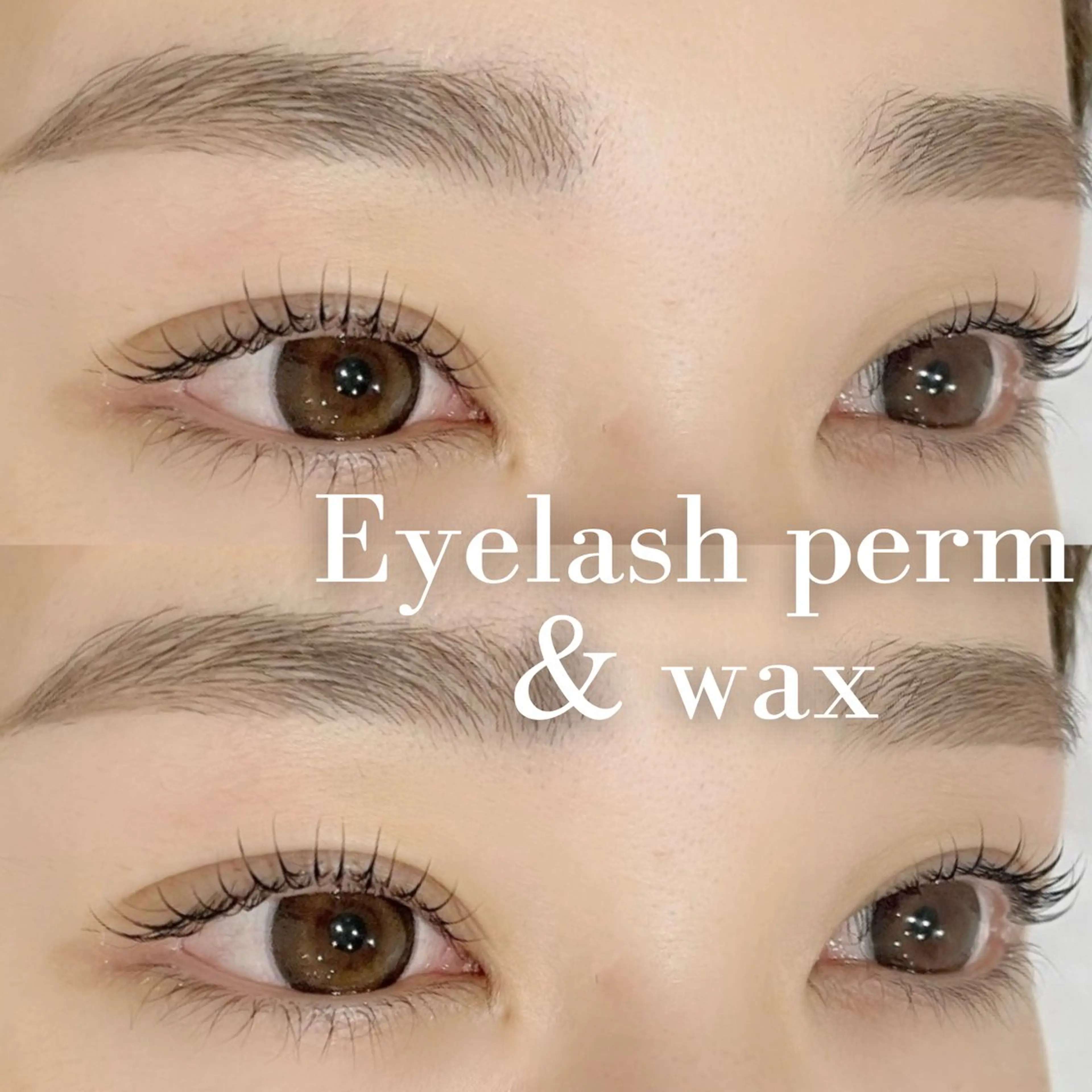 当日限定！【まつげパーマ＋眉ワックス🫧】コーティング付！✨の写真