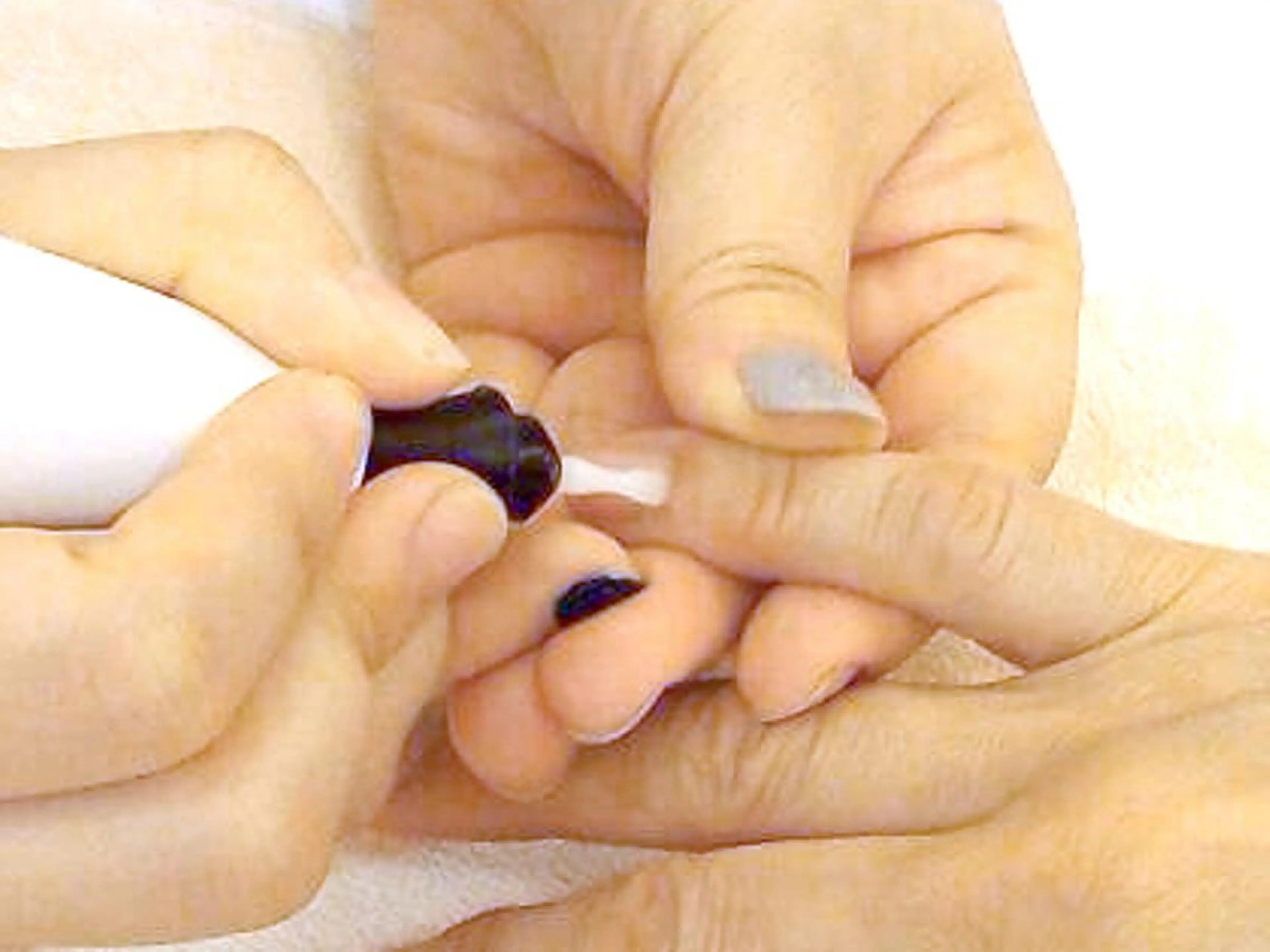 【🌟コロナ自粛特別クーポン🌟】ネイルオフ＋ネイルケアの写真