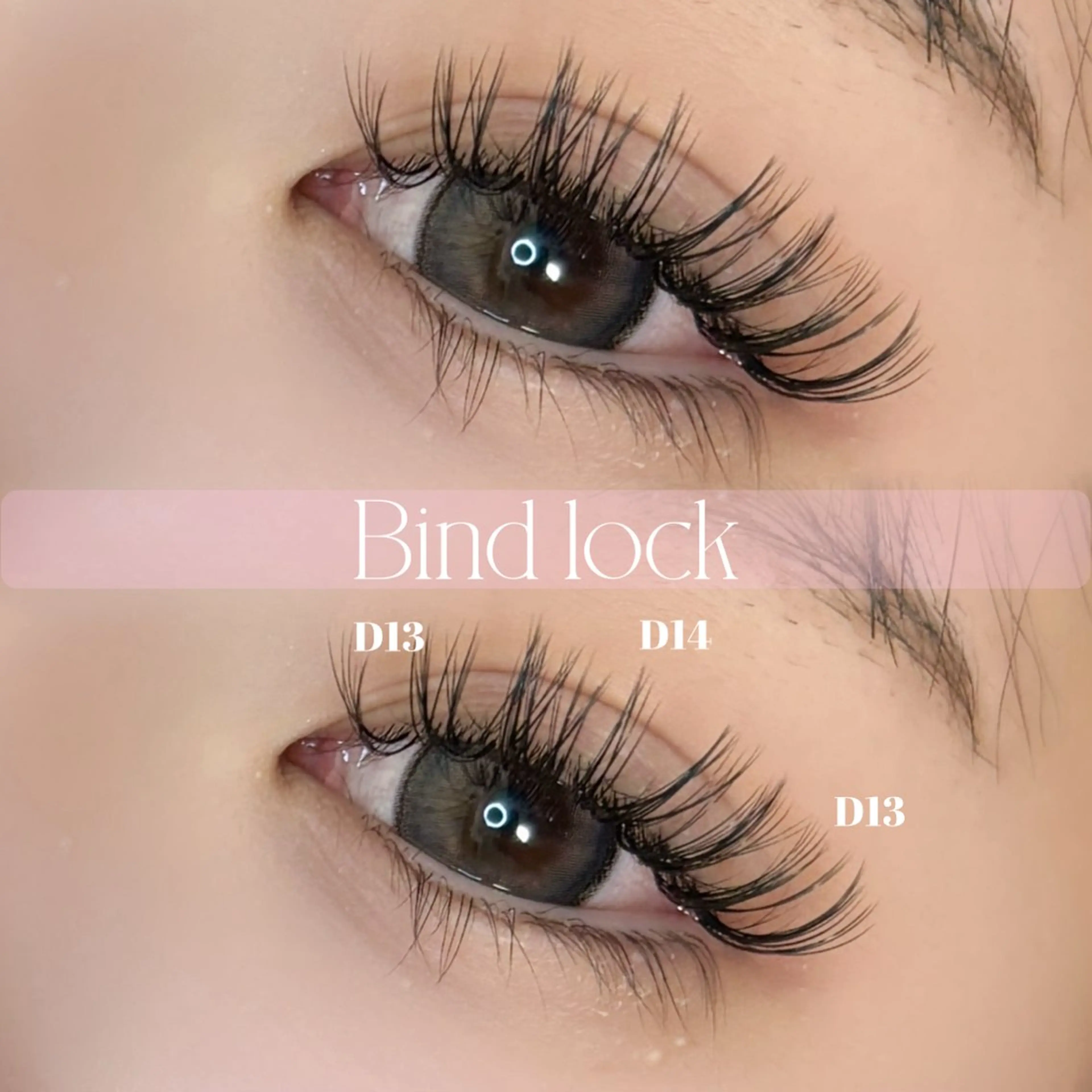 【新規限定】バインドロック 80束 【オフ込】の写真