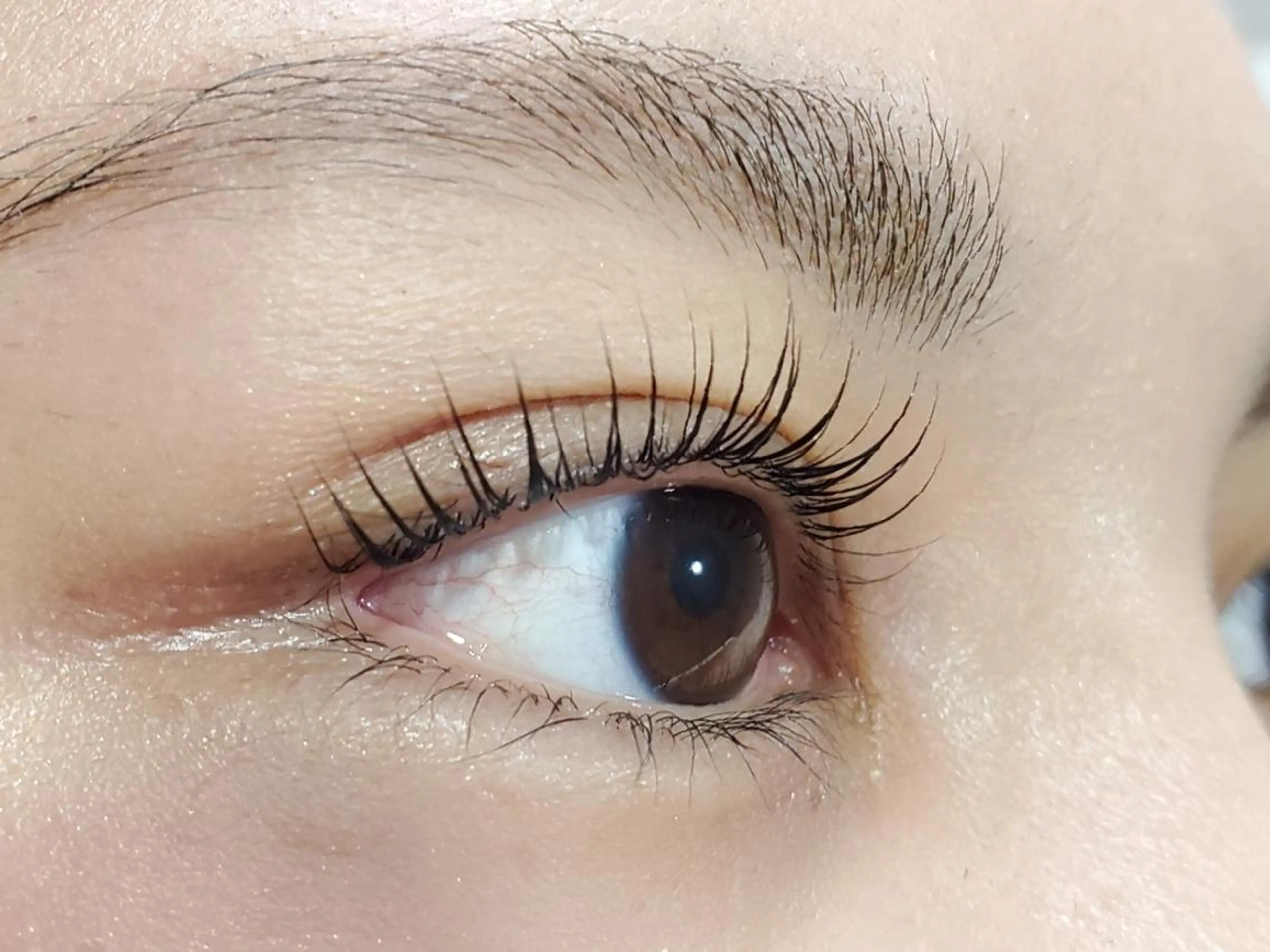 マツエク・マツパ ant_u🌷 arisaのマツエク・マツパデザイン