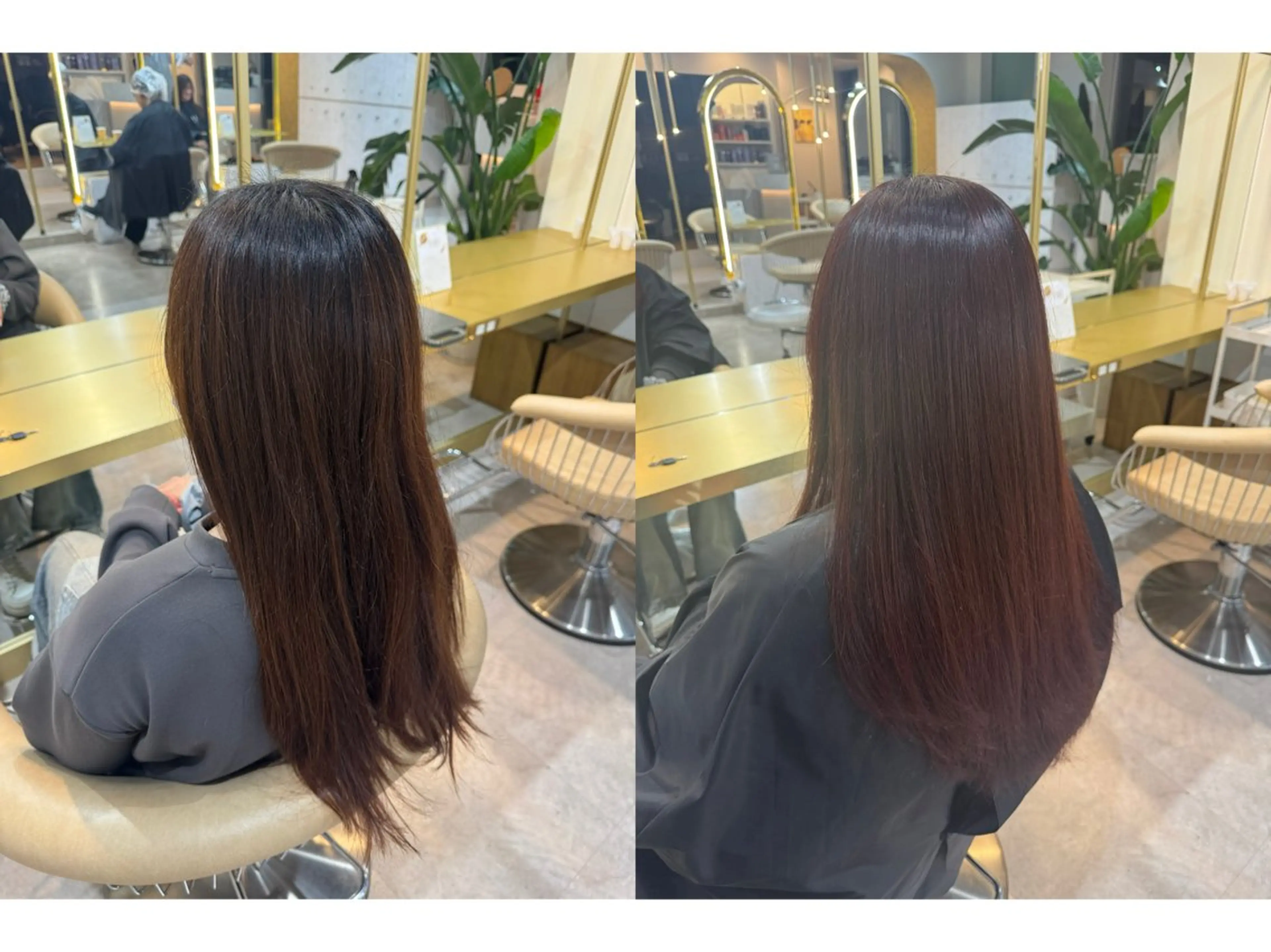 セミロング カラー yukiya 🌻のヘアスタイル