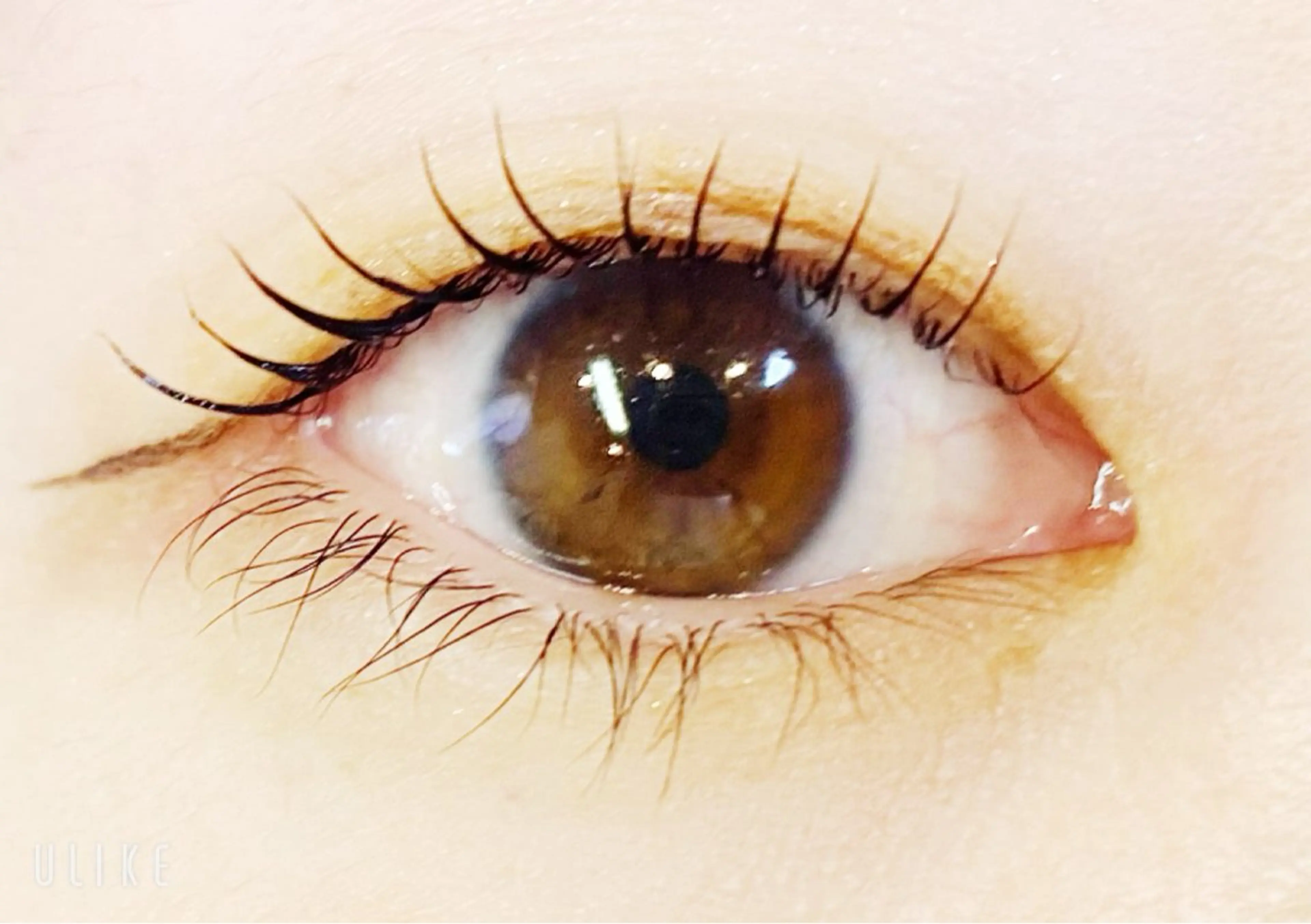 マツエク・マツパ パリジェンヌラッシュリフト Rairia nail&eyelash所属・Rairia CHIKAのマツエク・マツパデザイン